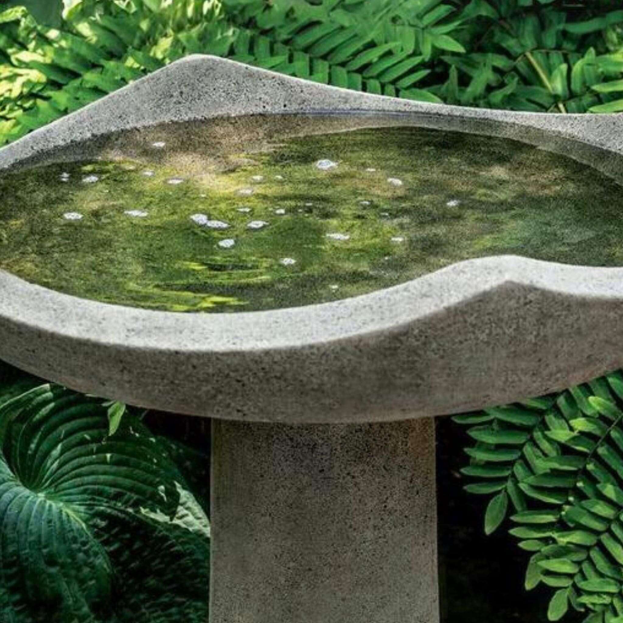 Oslo Large Concrete Bird Bath - Campania #B188
