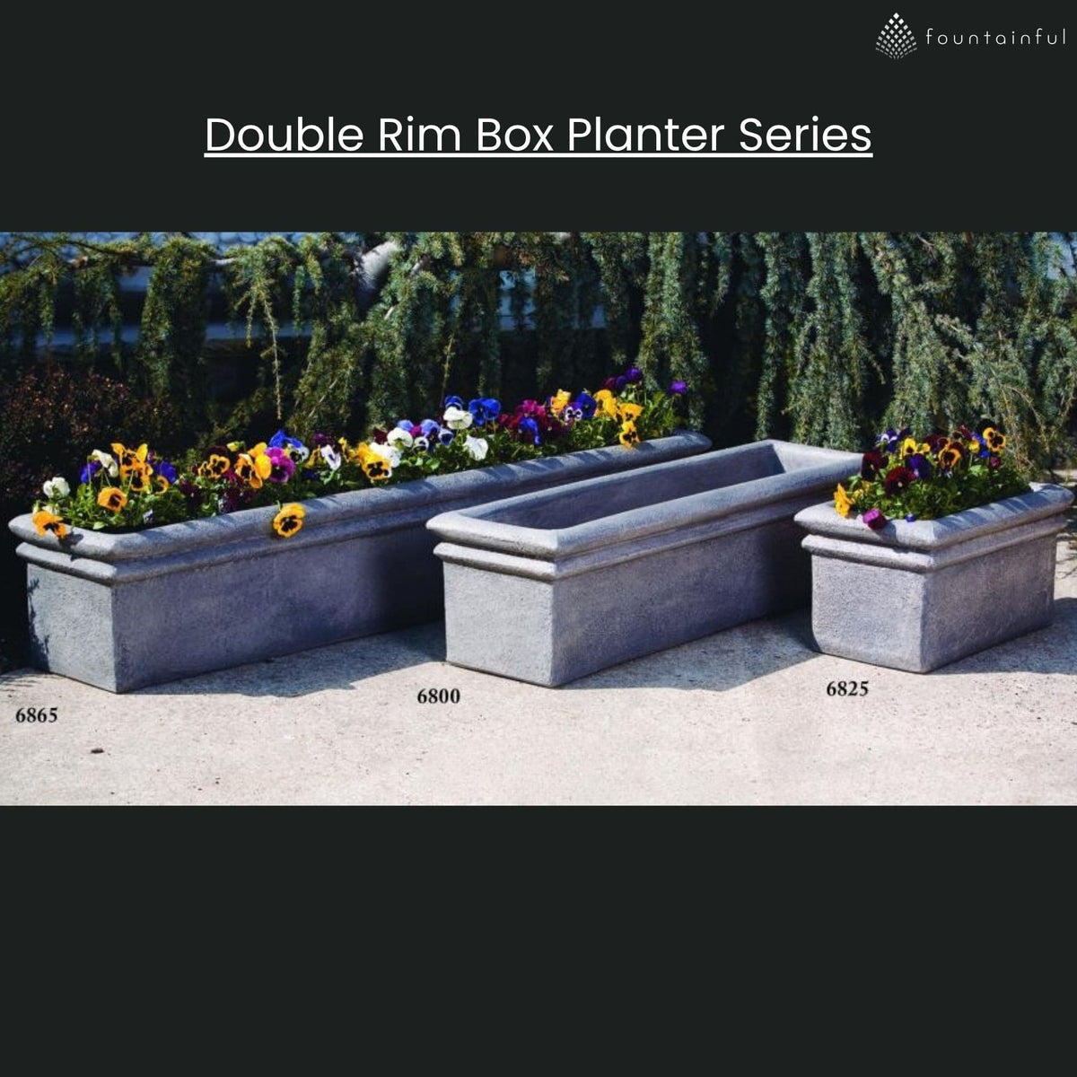 Double Rim Concrete Window Box Planters - Massarellis
