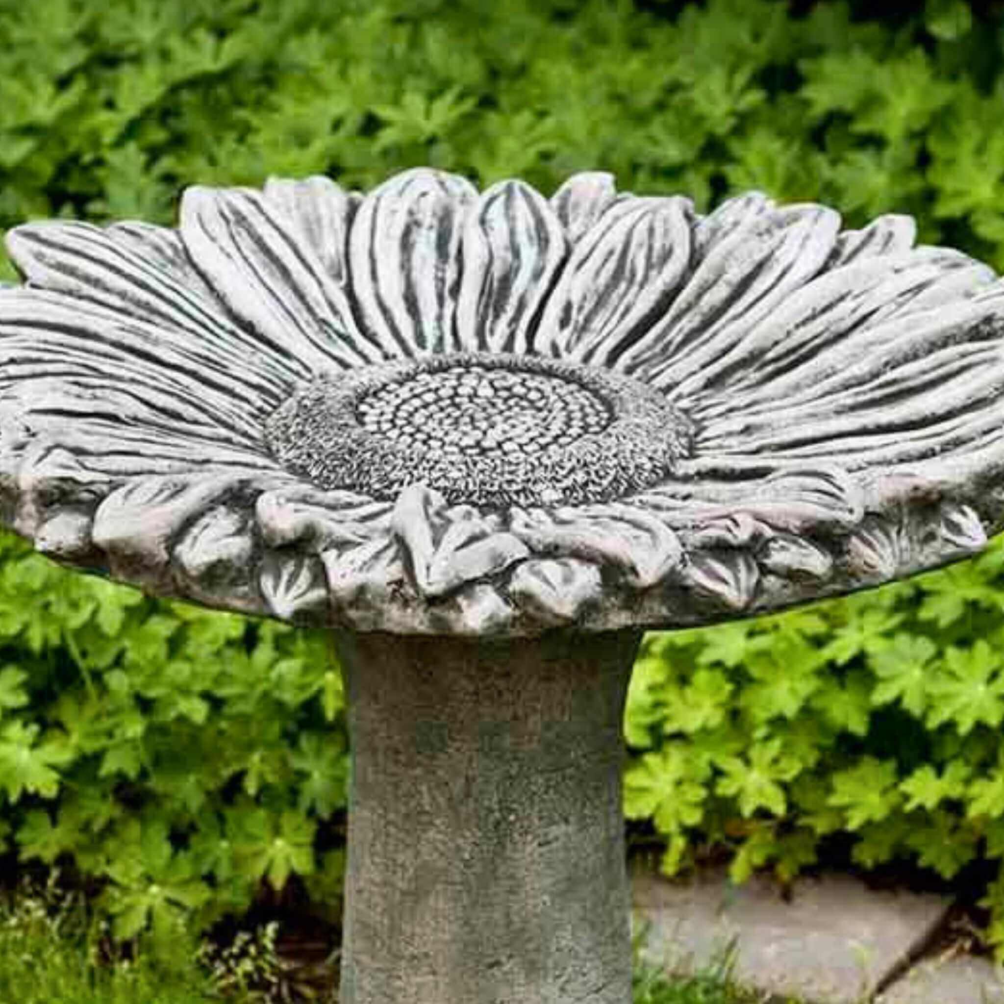 Sunflower Concrete Bird Bath - Campania #B154