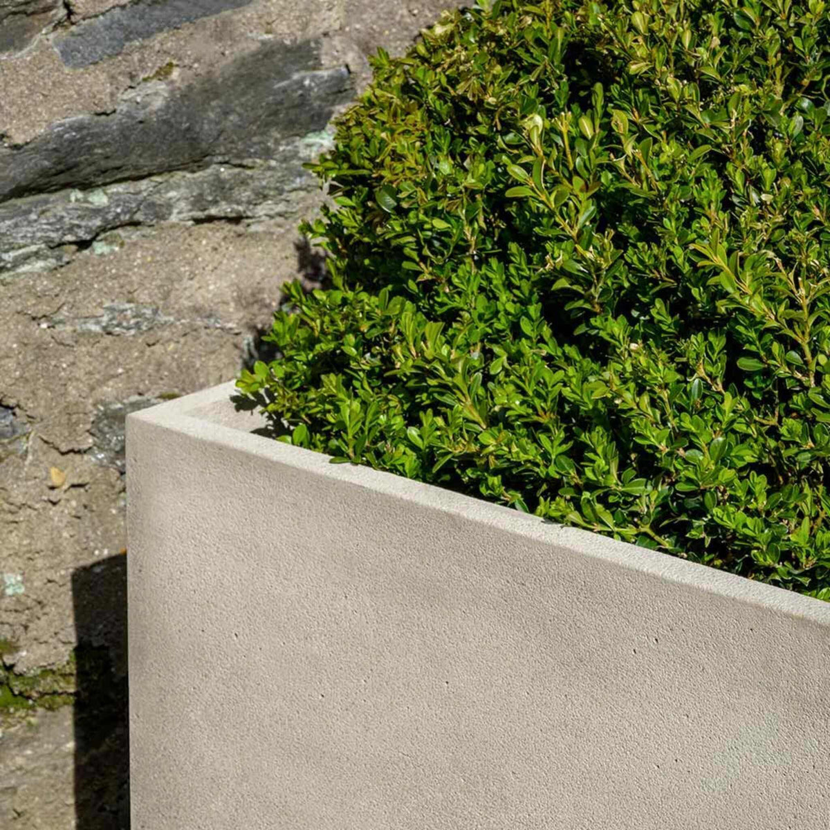 Cube Concrete Planters - Campania