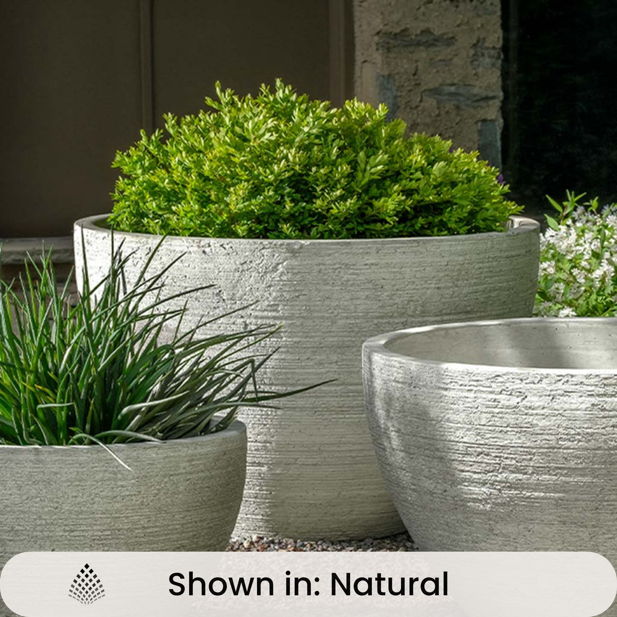 Nori Round Modern Concrete Planters - Campania