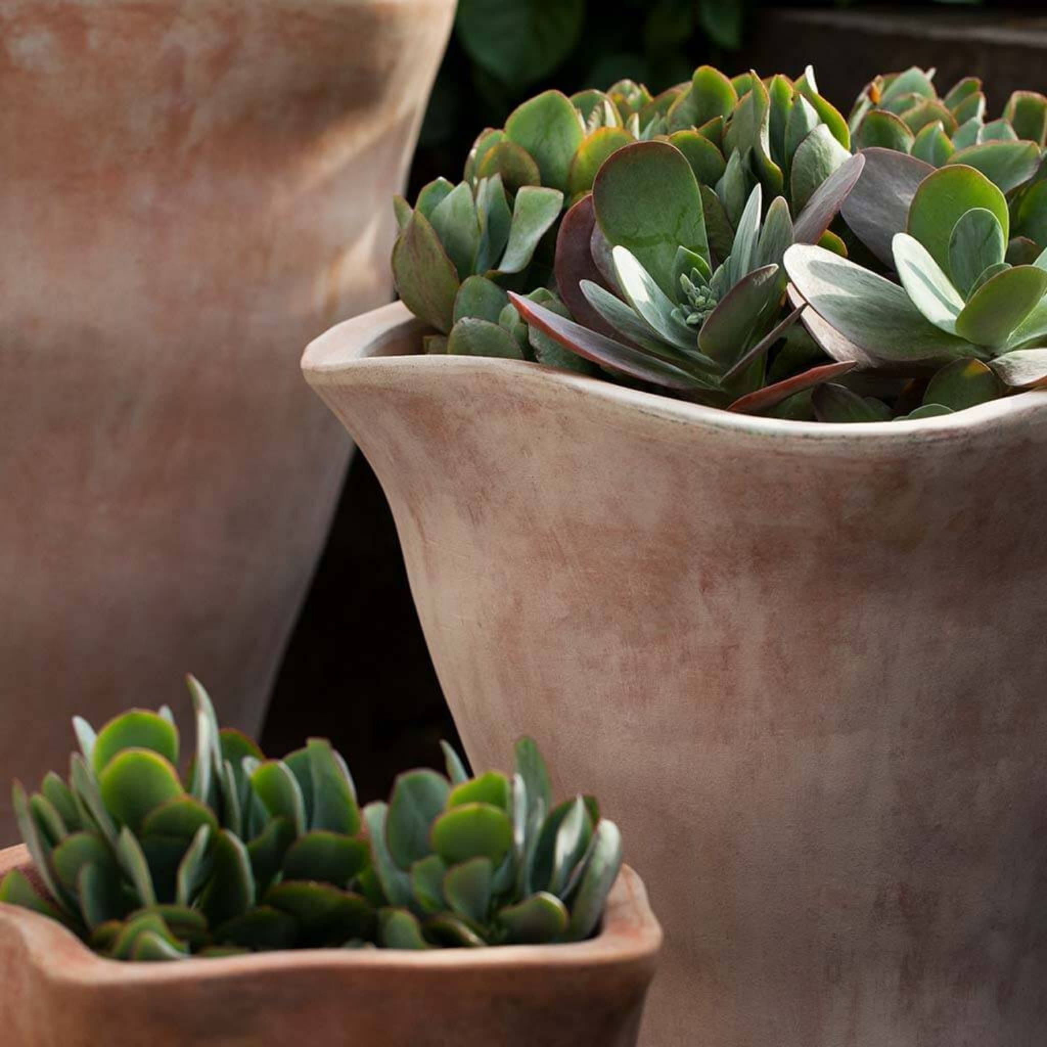 Foxglove Tall Set of 3 Terra Cotta Planters - Campania #6016