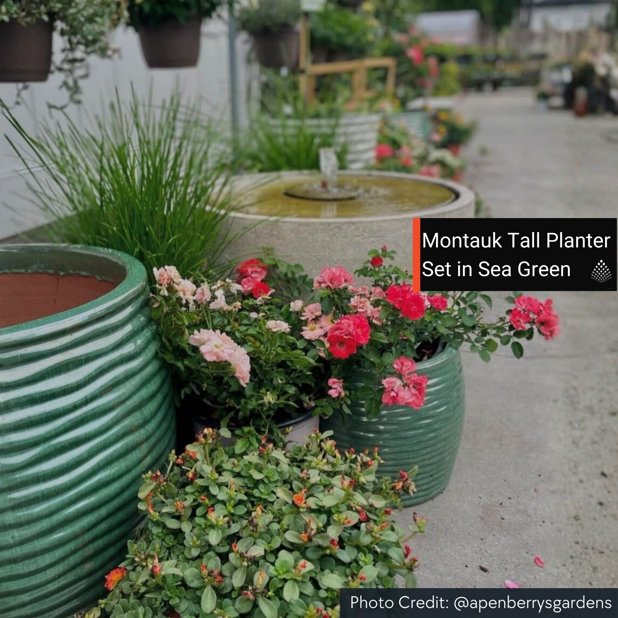 Montauk Low Set of 3 Glazed Terra Cotta Planters - Campania #7005