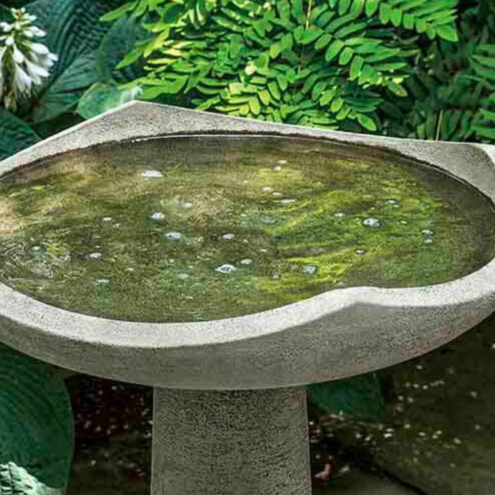 Oslo Medium Concrete Bird Bath - Campania #B189