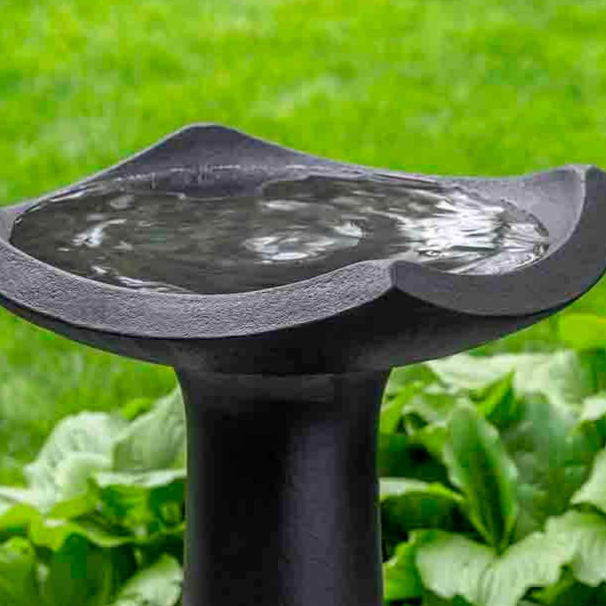 Oslo Concrete Bird Bath - Campania #B107