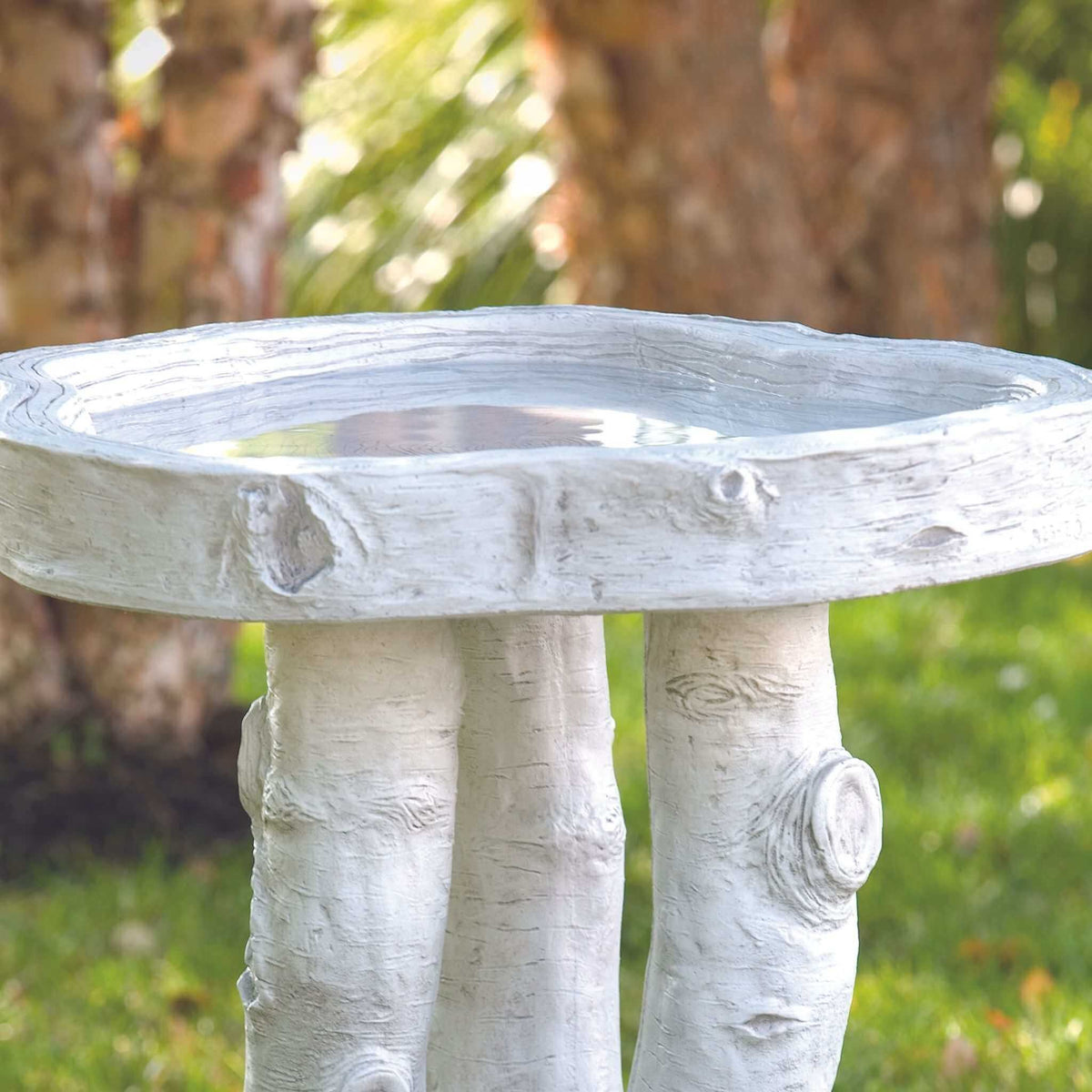 Birchwood Concrete Bird Bath - Massarellis #9266