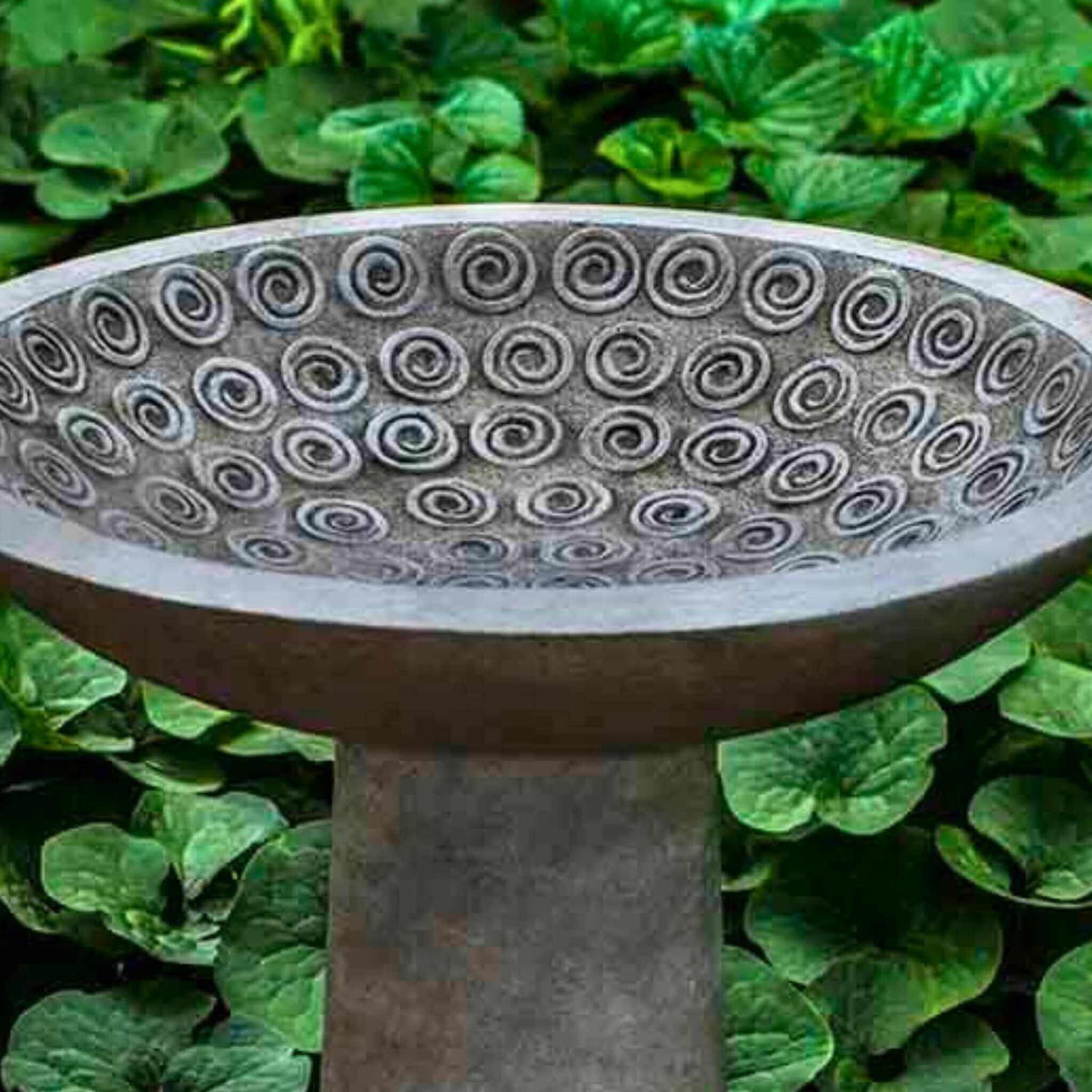 Cirrus Concrete Bird Bath - Campania #B161