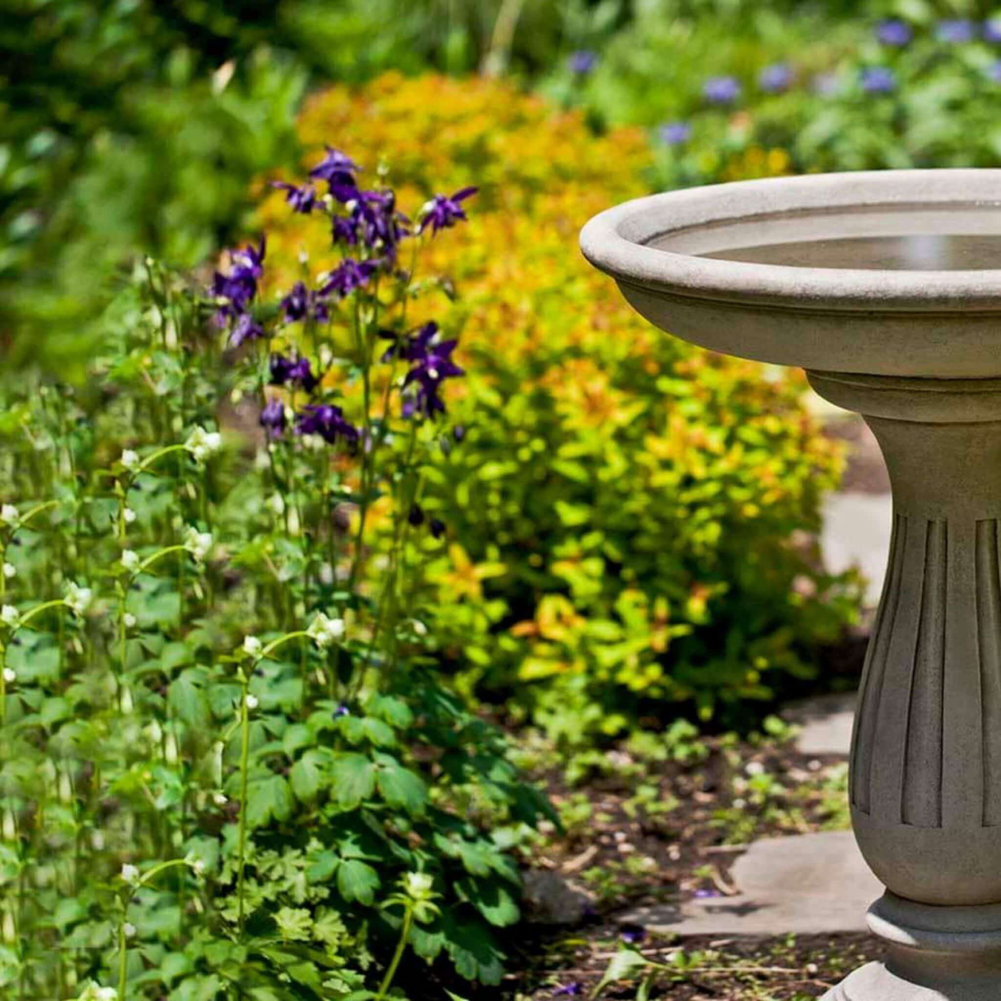 Wyndmoor Concrete Bird Bath - Campania #B156