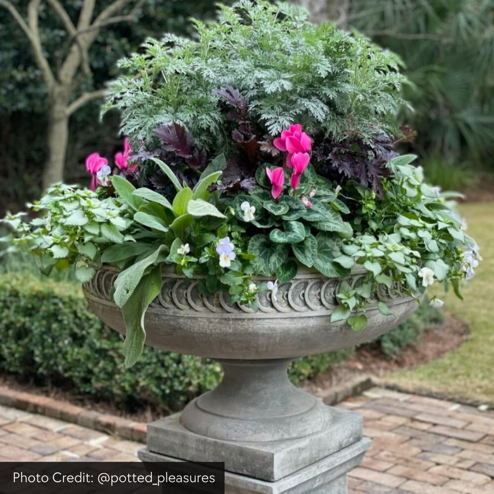 Chatham Concrete Urn Planter - Campania #P701