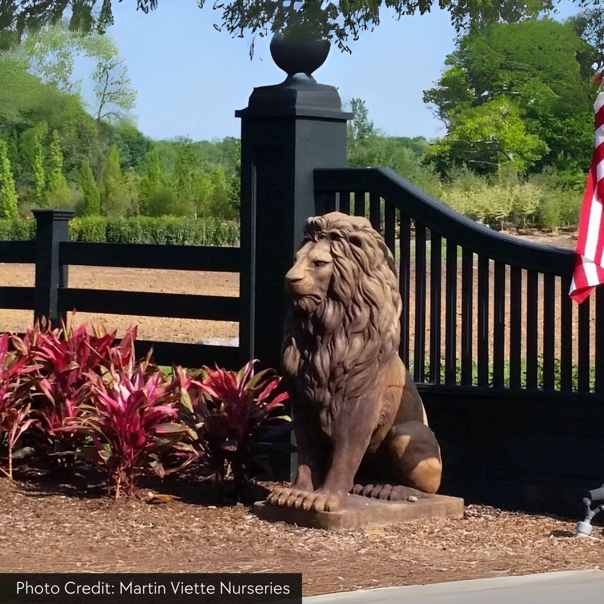 48" Grandessa Sitting Lion Concrete Statue - Massarellis #4023