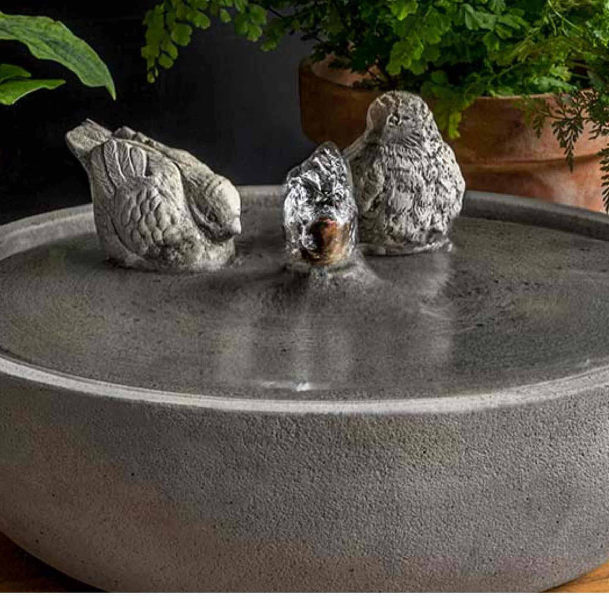 Songbird Concrete Fountain - Campania #FT375