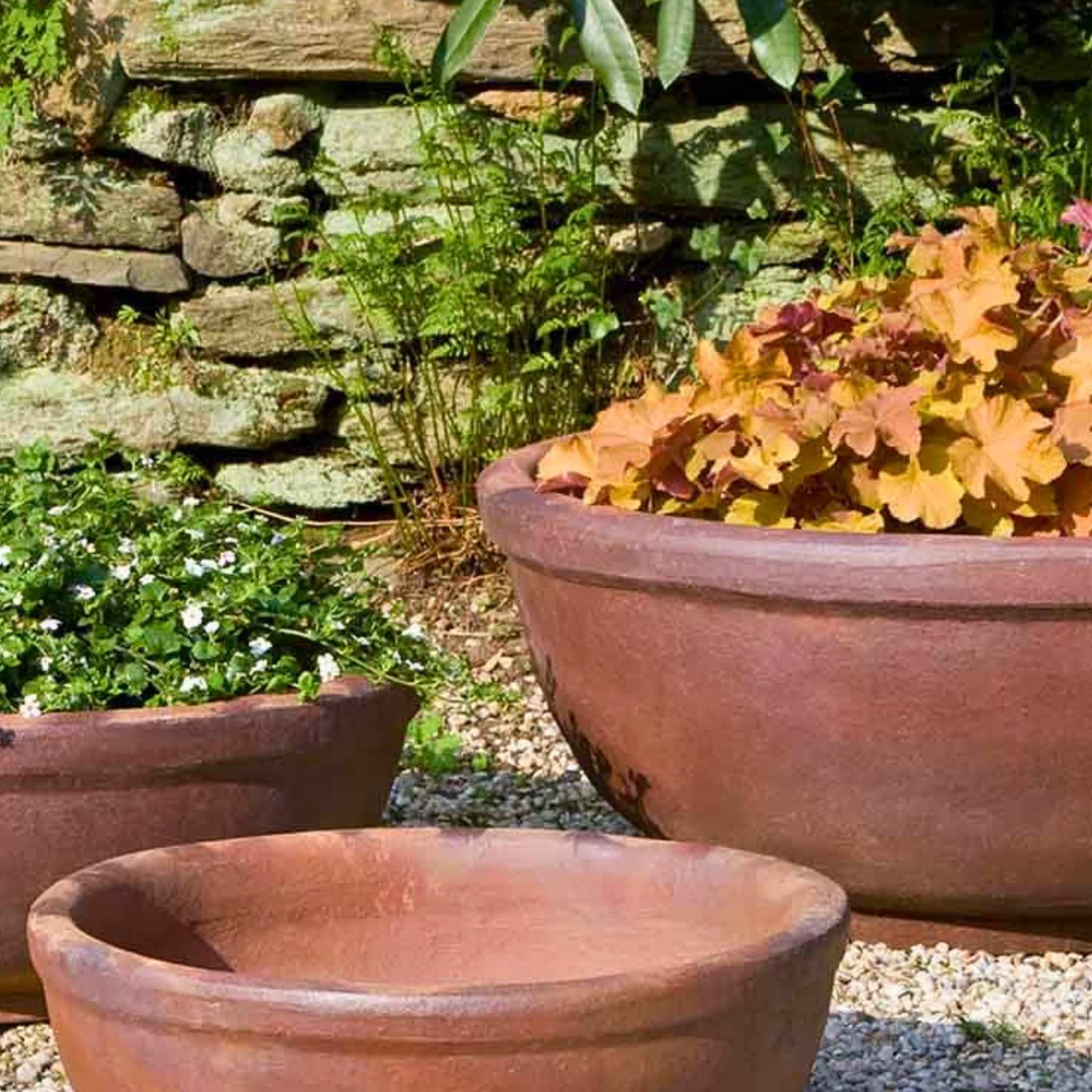 Hoi An Set of 3 Earthenware Planters - Campania #315319