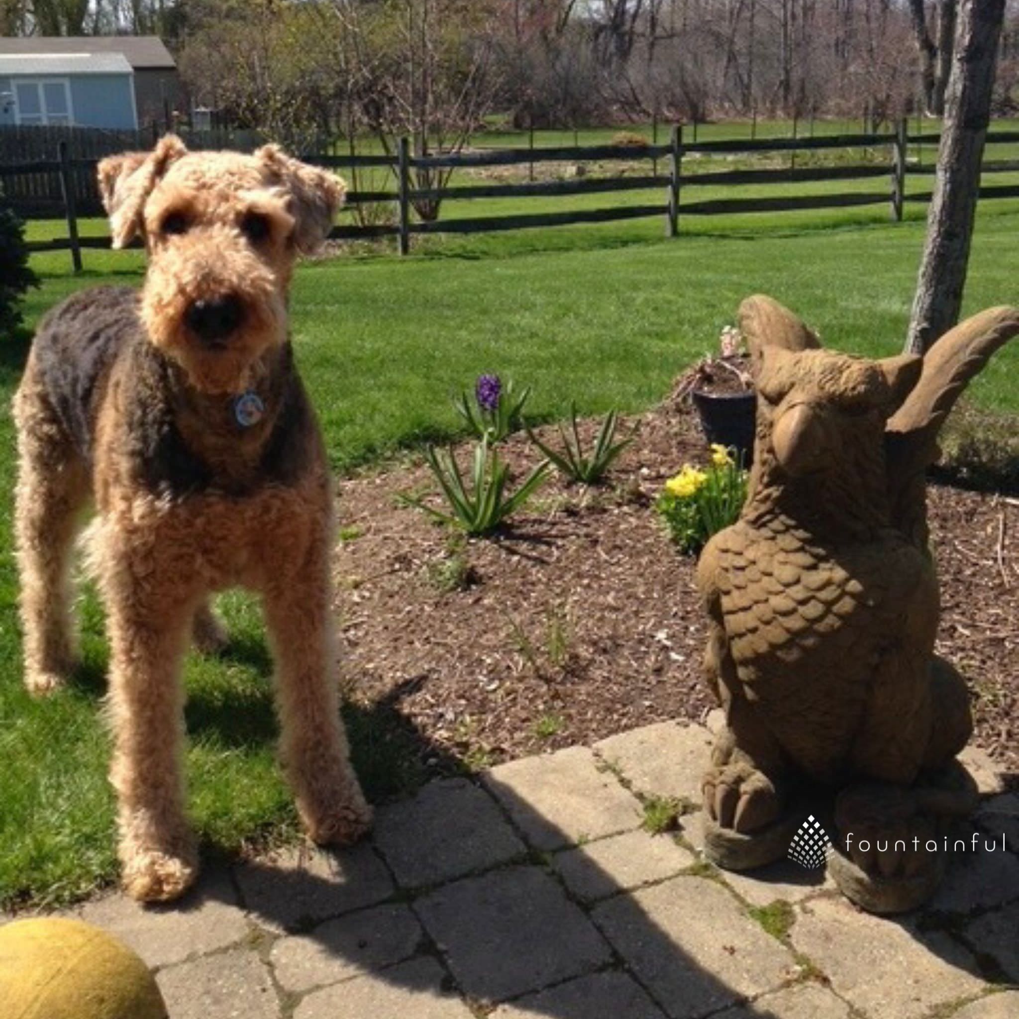 Griffin Large Concrete Garden Statue - Massarellis #5377