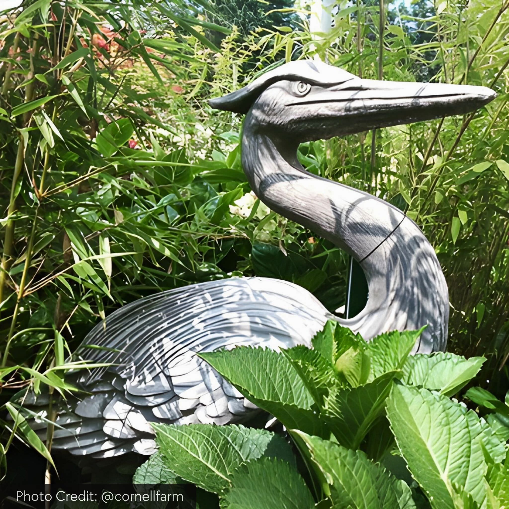 Heron Concrete Garden Statue - Campania #A524