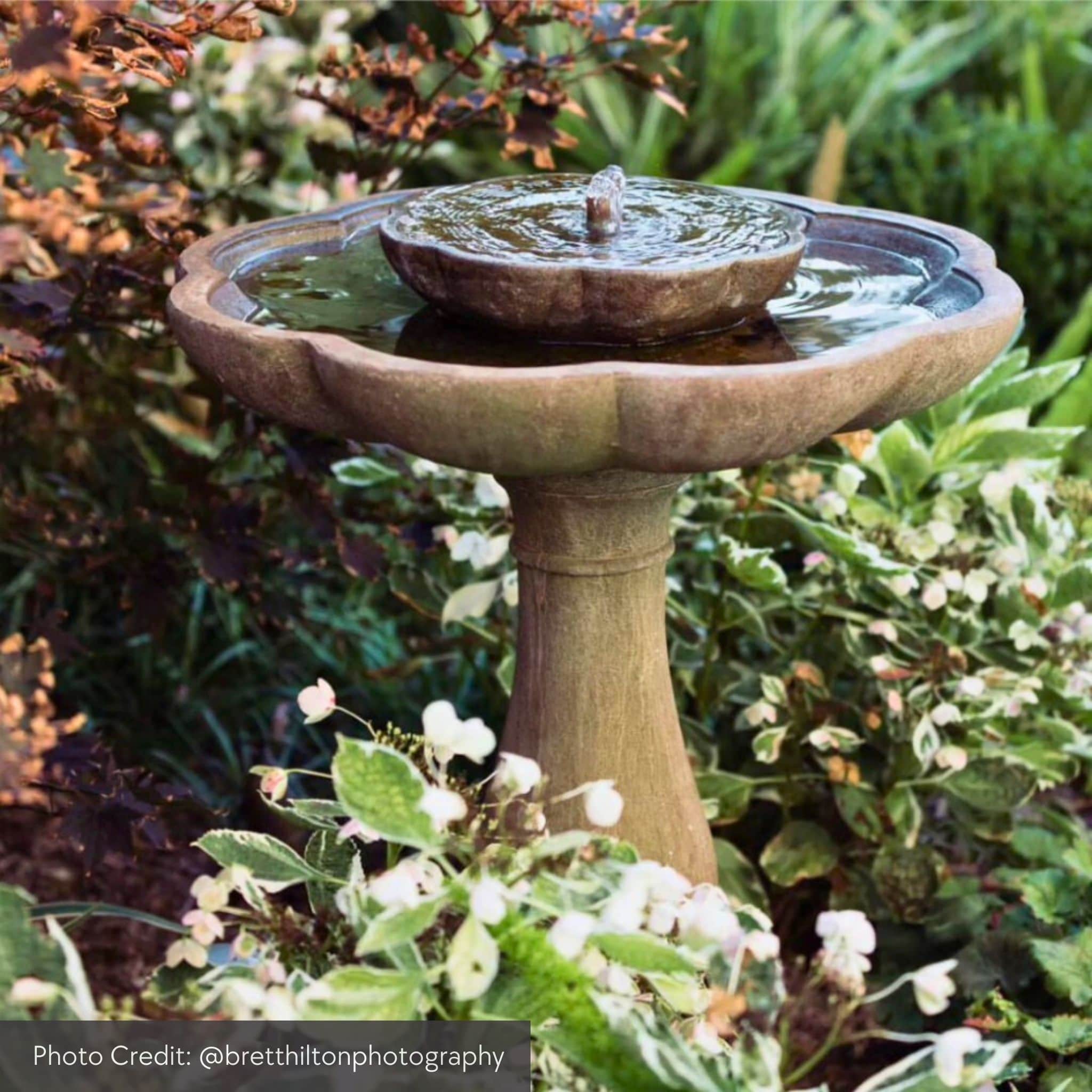 Flores Pedestal Concrete Fountain - Campania #FT180