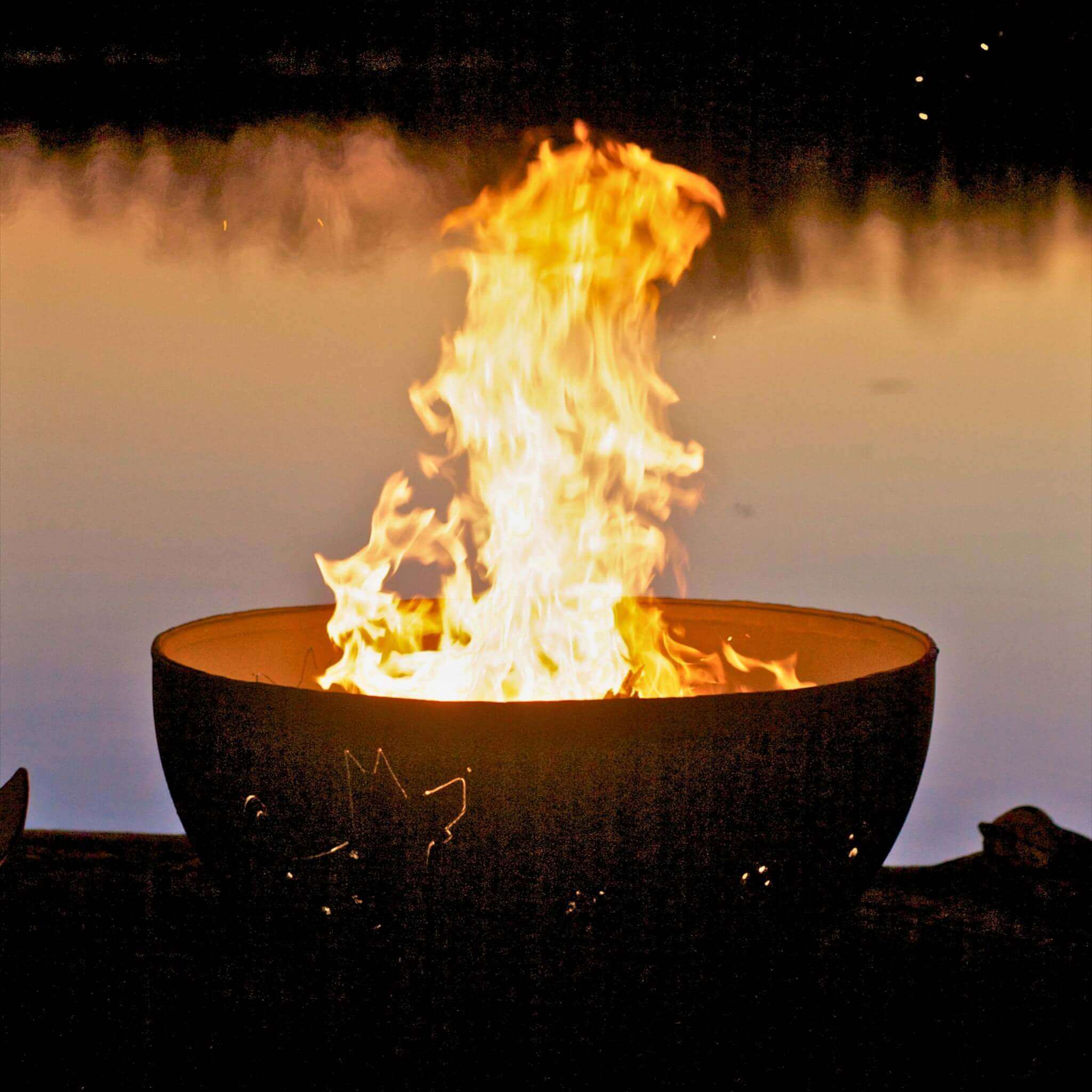 Funky Dog Gas Fire Pit in Steel - Fire Pit Art
