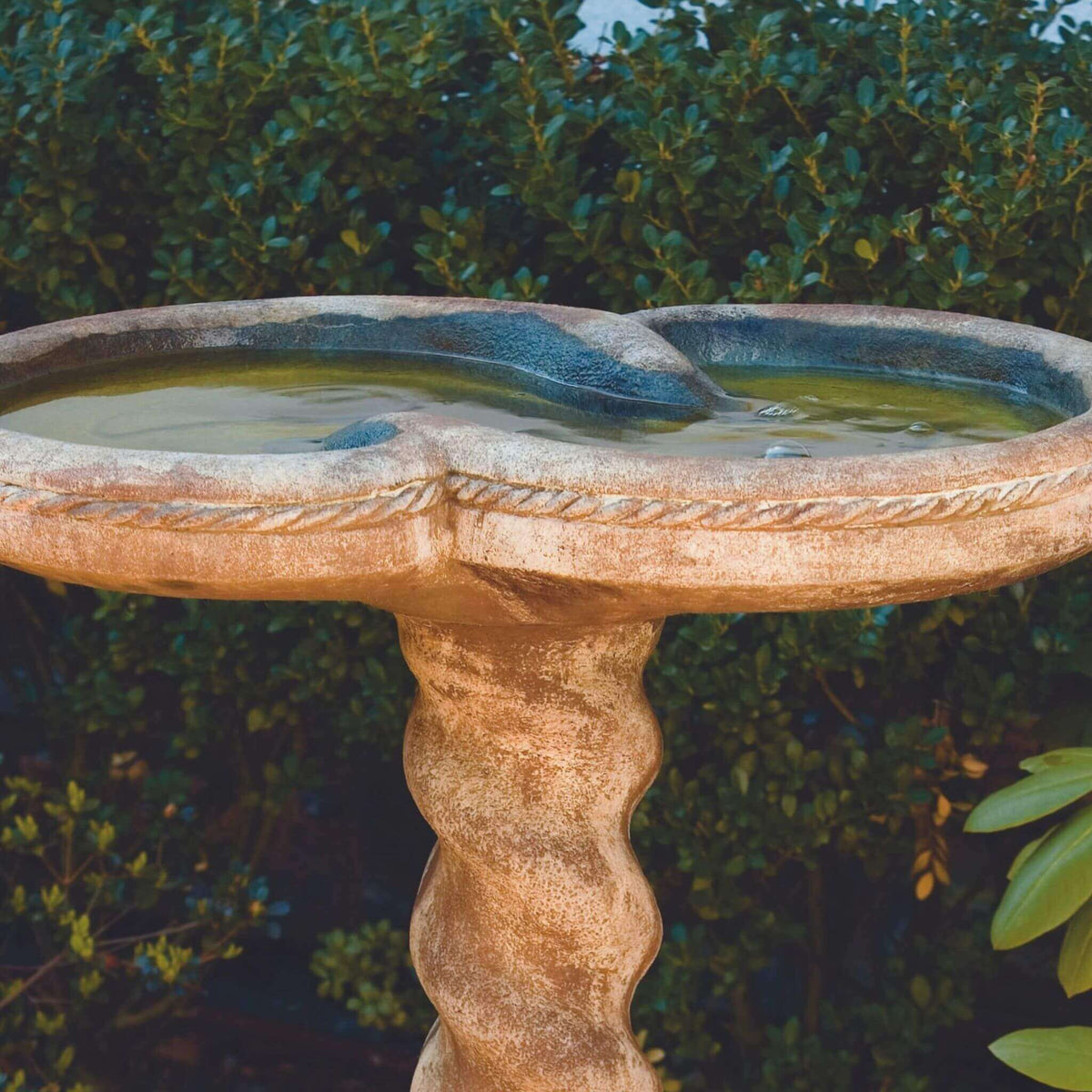 Spiral 1-Piece Concrete Bird Bath - Massarellis #9735
