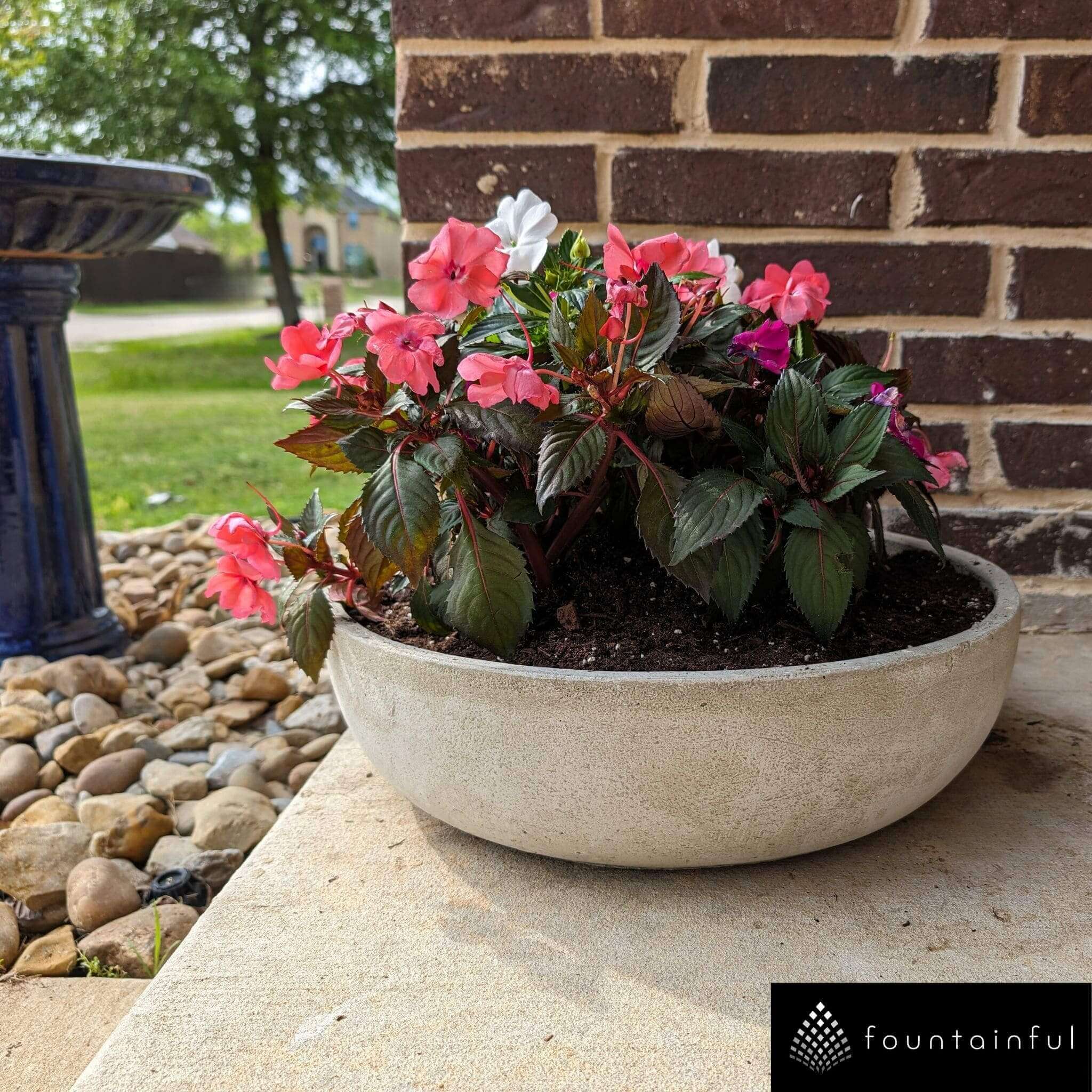 Terrace Bowl Large Concrete Planter - Campania #P896