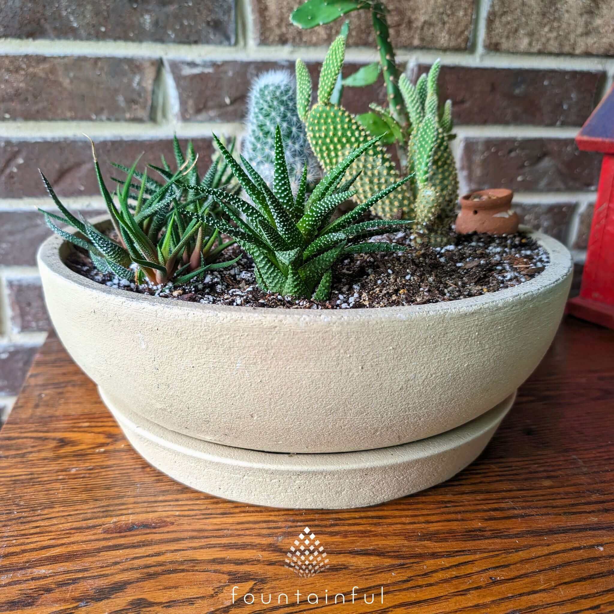 Terrace Bowl Medium Concrete Planter - Campania #P897
