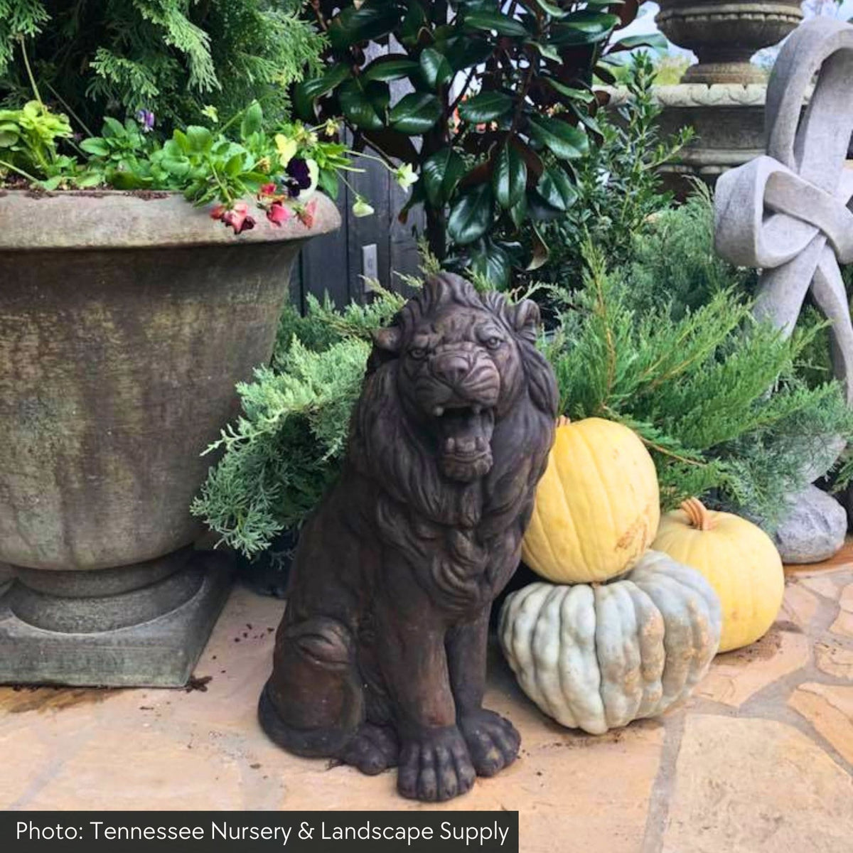 Sitting Lion Left & Right Concrete Statues - Massarellis