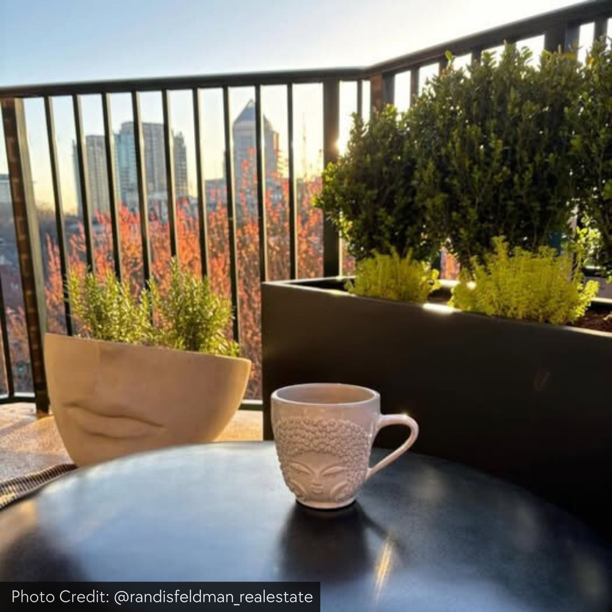 Faccia Concrete Planters - Campania