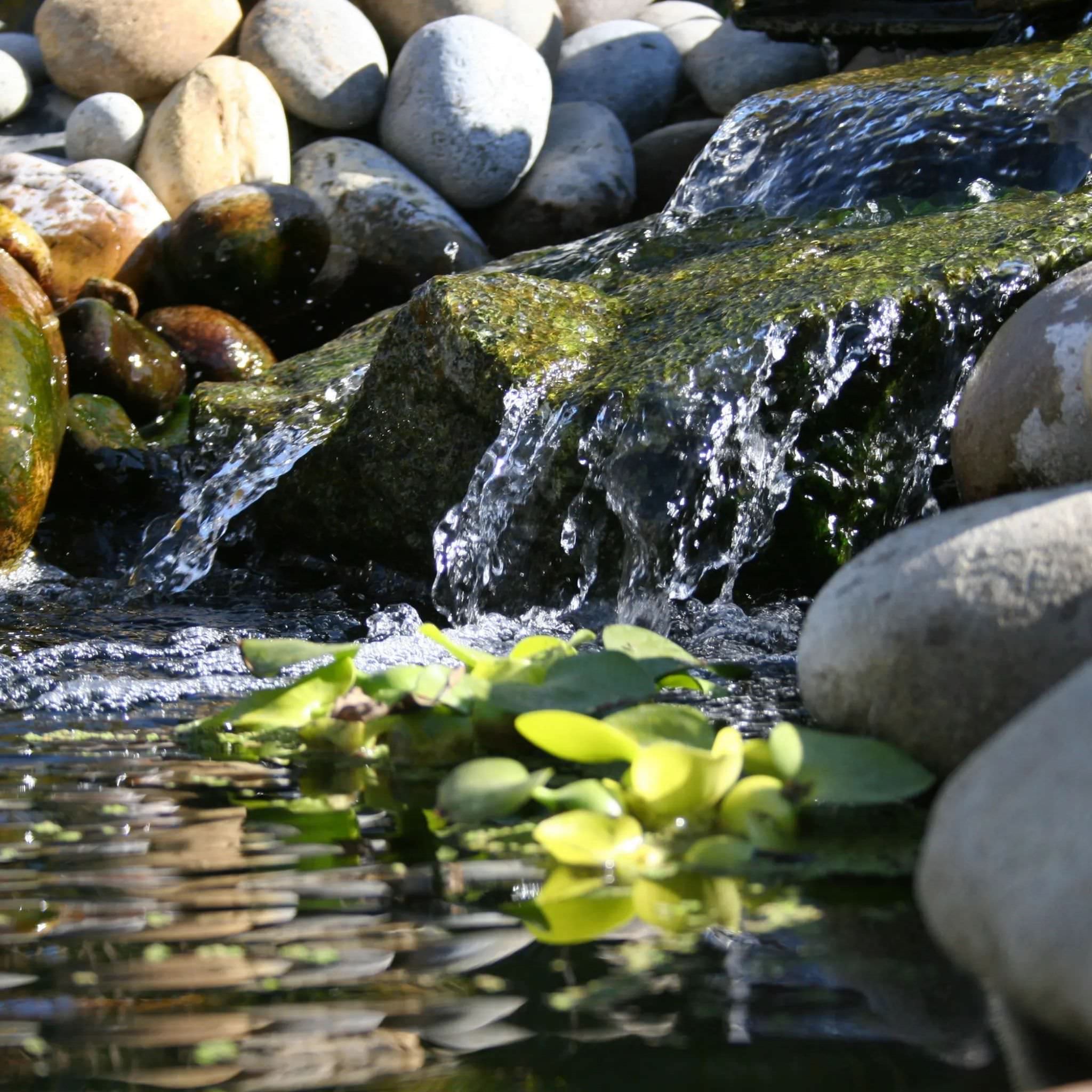 Elite Series Pond Kits - Blue Thumb