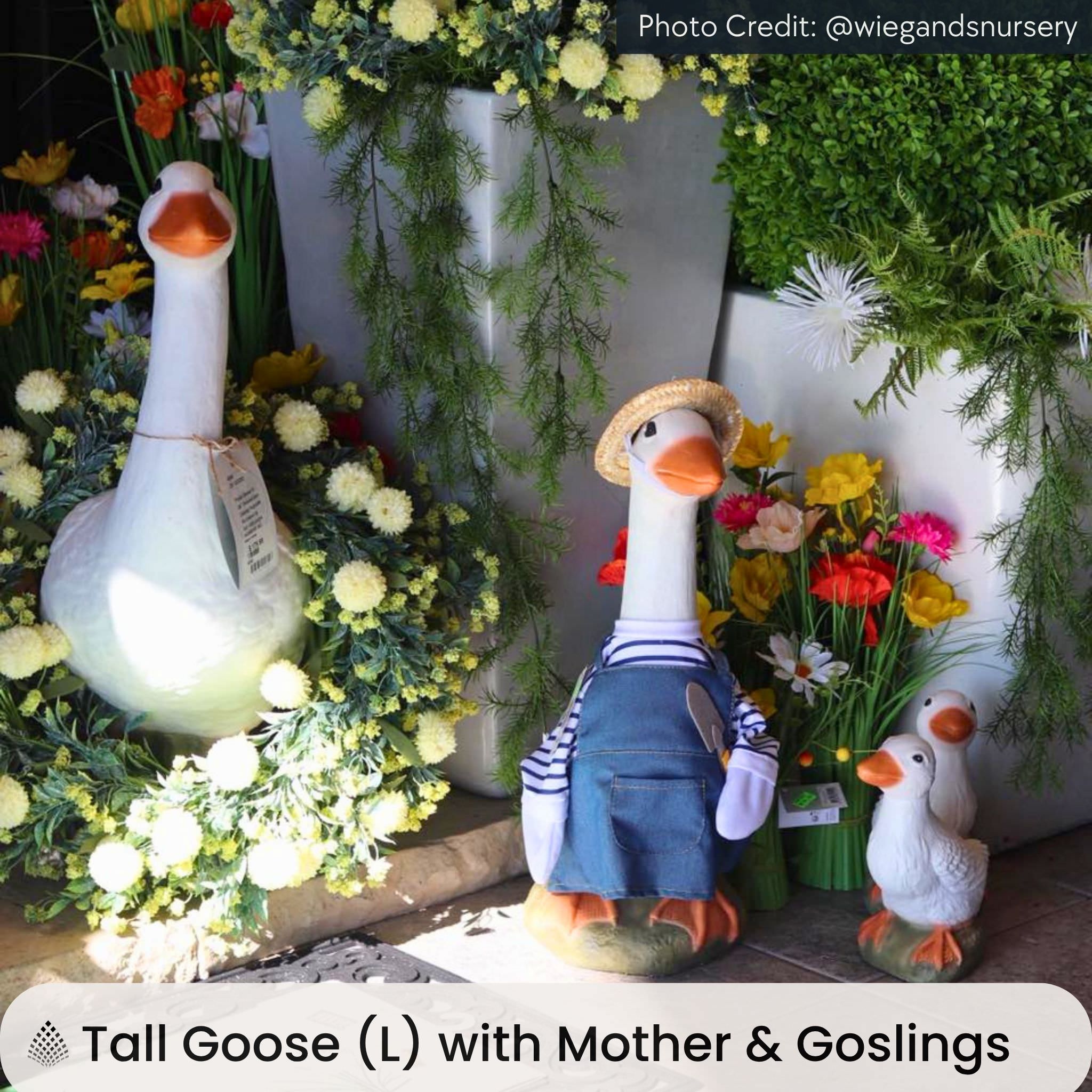 Geese Set Concrete Garden Statues - Massarellis #2825