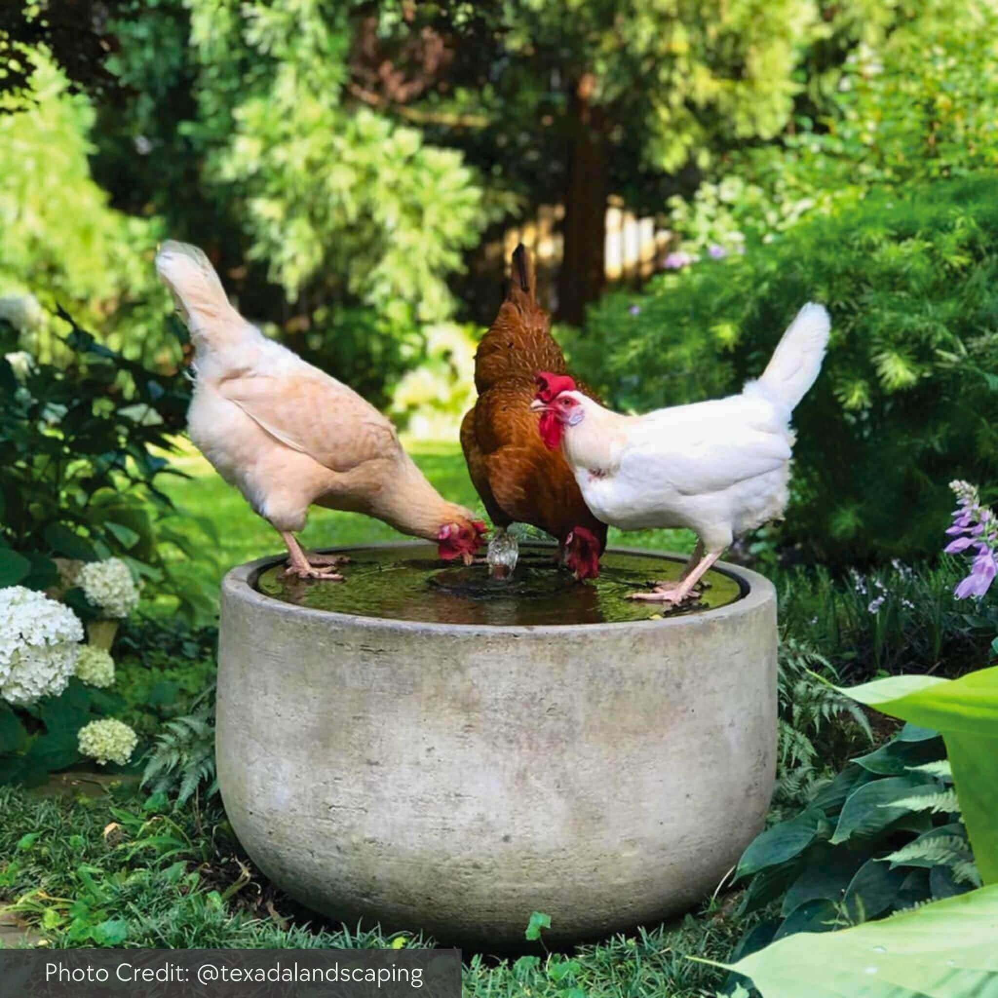Echo Park Concrete Bowl Fountain - Campania #FT302