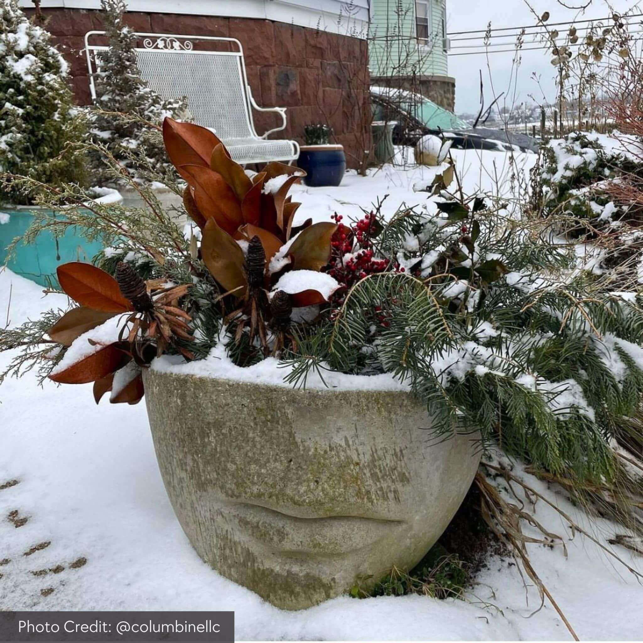 Faccia Concrete Planters - Campania