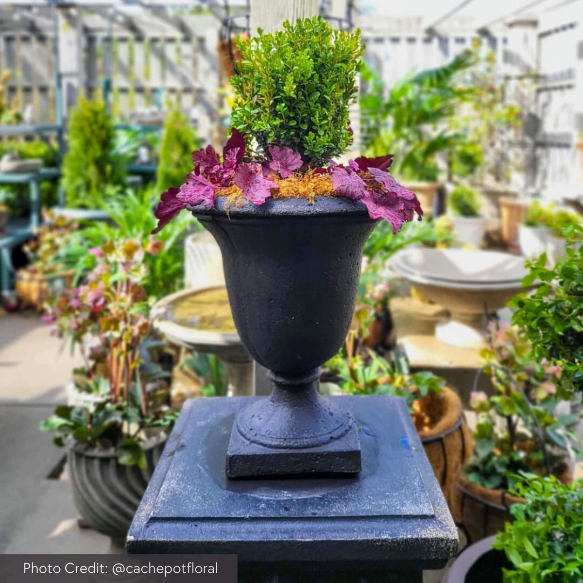 Linwood Concrete Urn Planter - Campania #P600