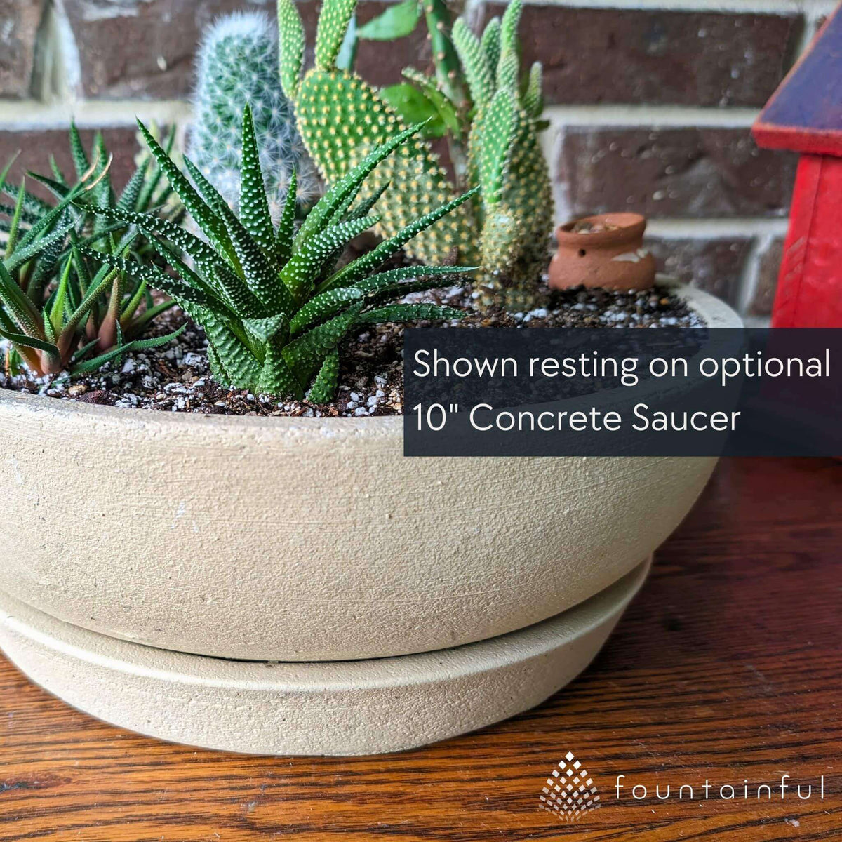 Terrace Bowl Medium Concrete Planter - Campania #P897