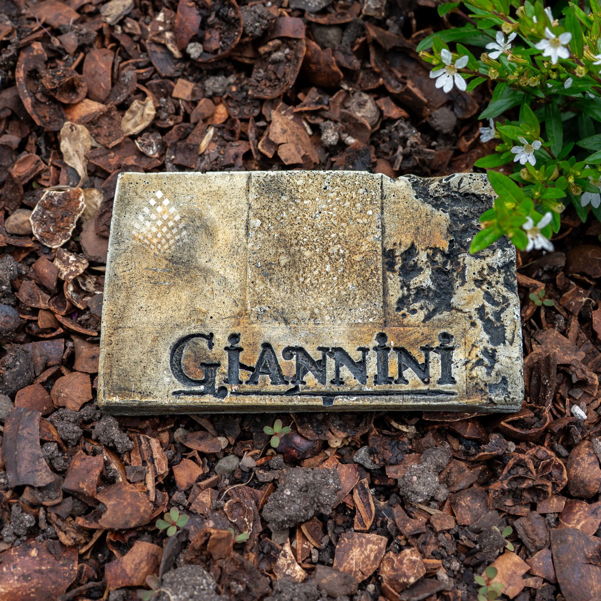 Giannini Concrete Color Sample