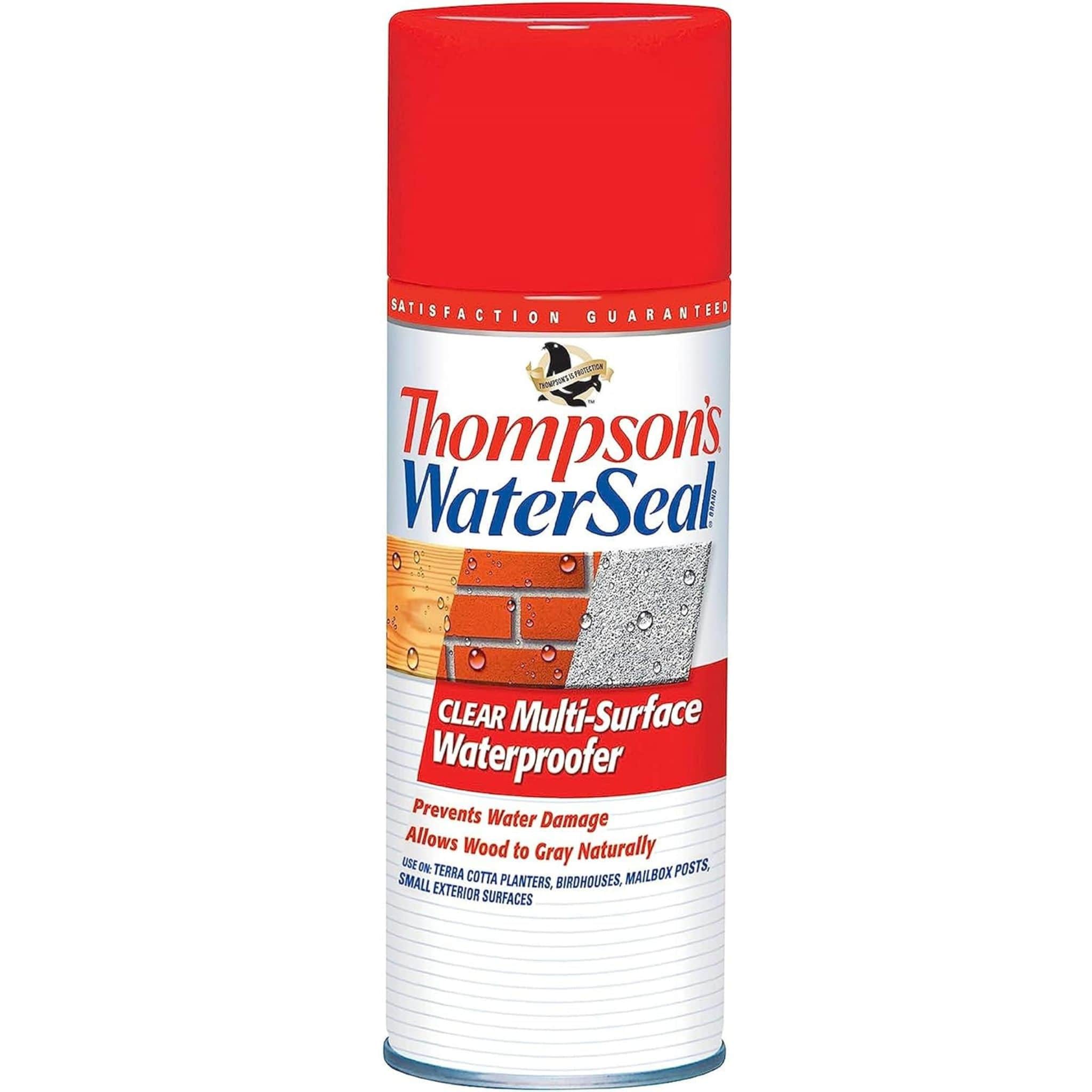 Corten Steel Water Sealer - 12 oz. Spray Can