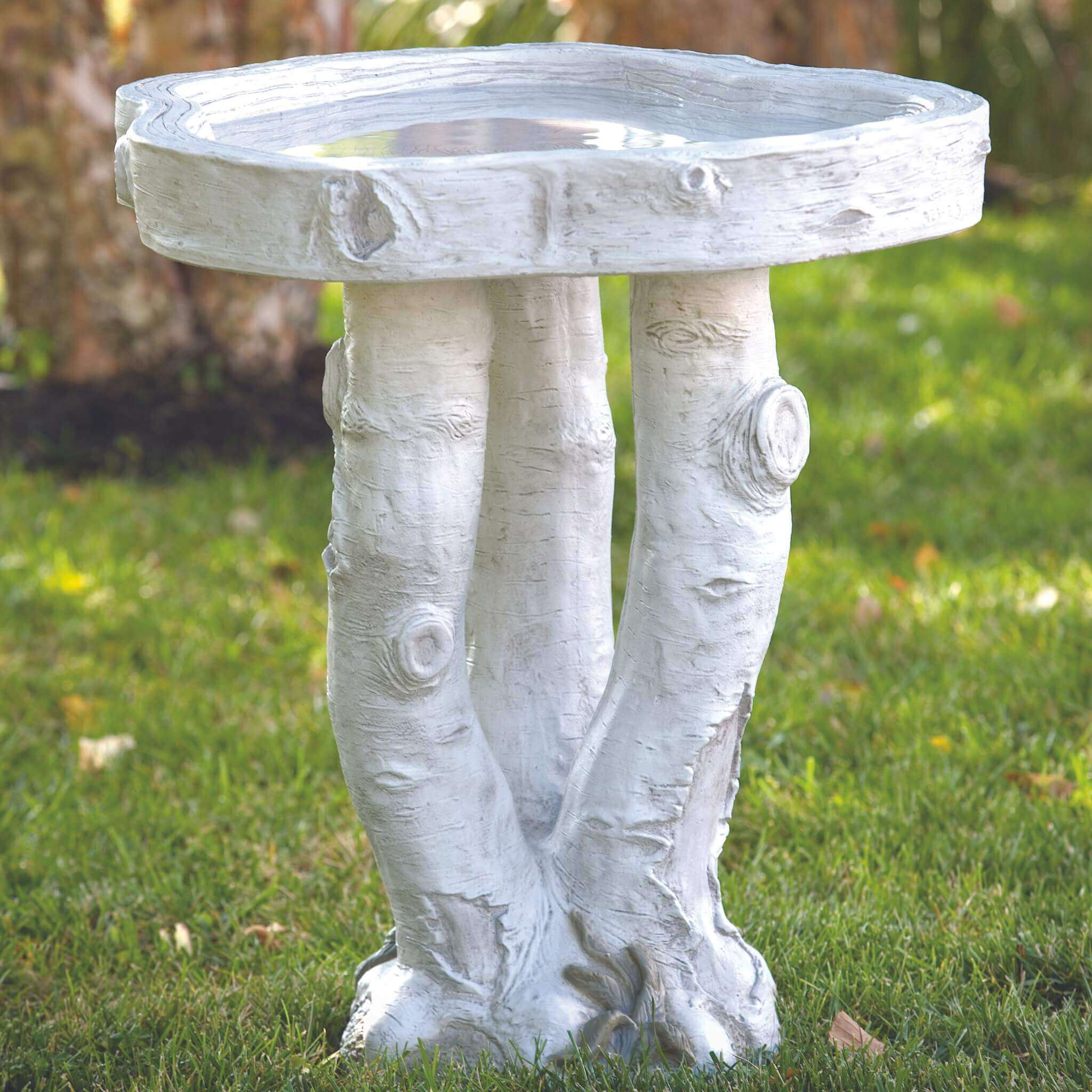 Birchwood Concrete Bird Bath - Massarellis #9266