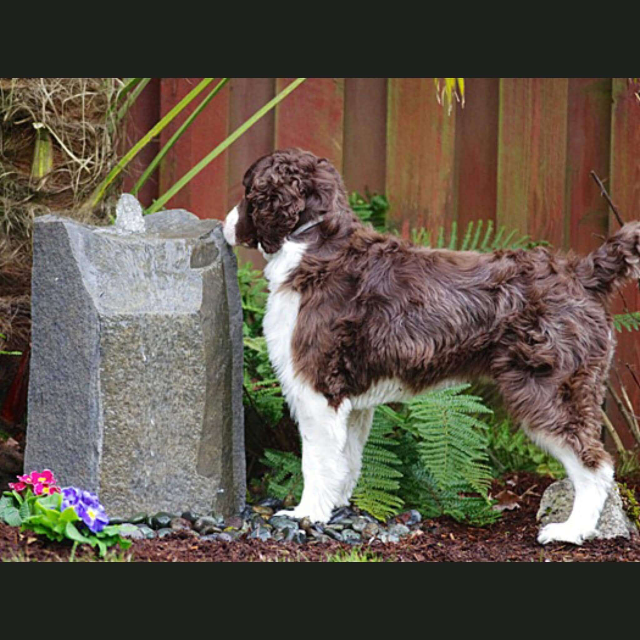 Hollow Springs GFRC Boulder Fountain - Complete Kit - Blue Thumb