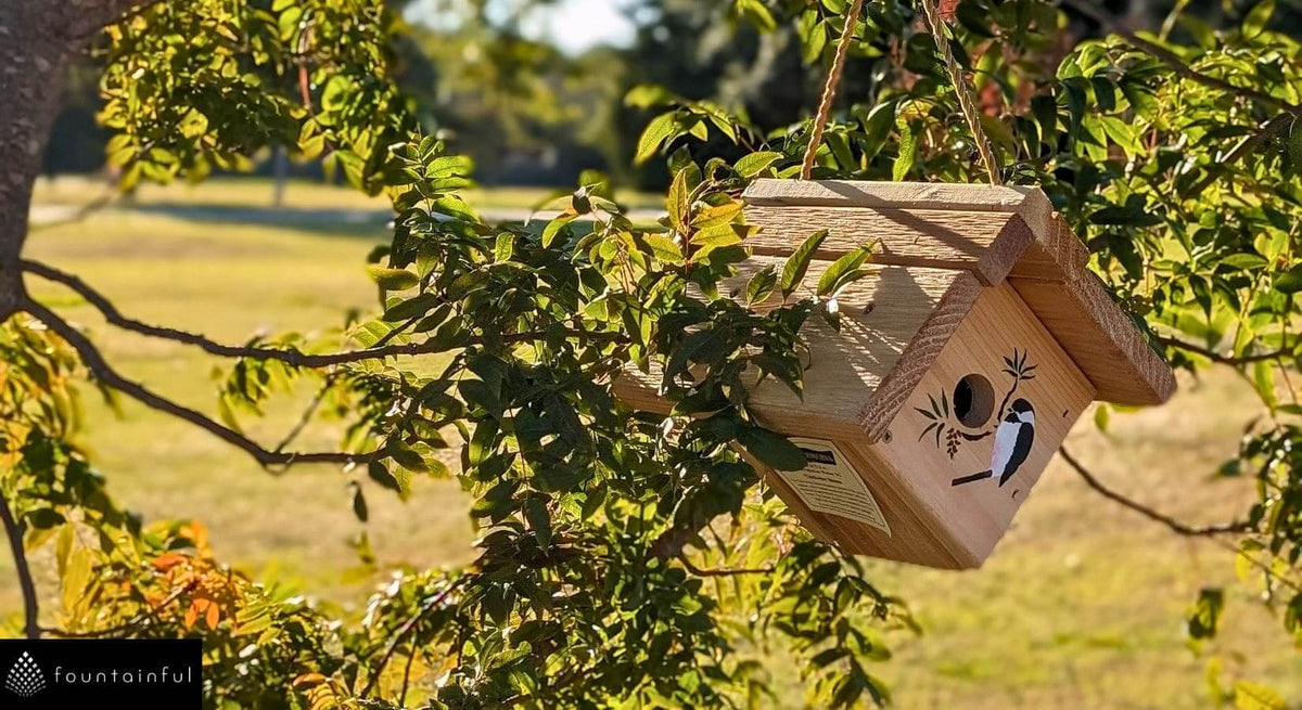 Ultimate Guide to Wooden Cedar Birdhouses