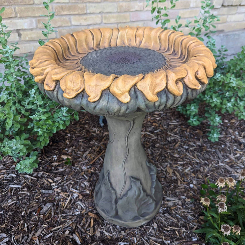 Sunflower 2-Piece Concrete Bird Bath - Massarellis