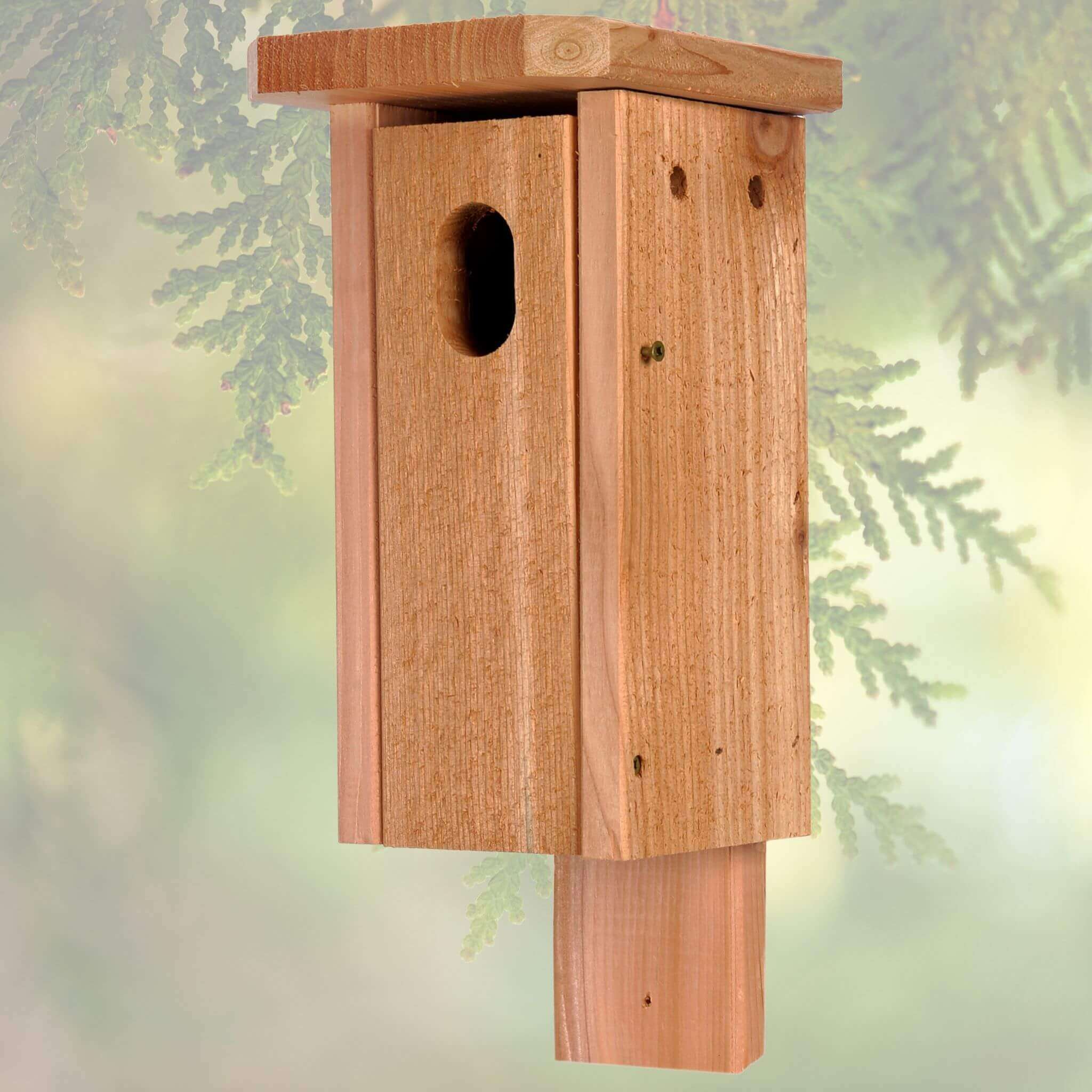 Bluebird House/Nesting Box - Cedar Wood | Winter Woodworks