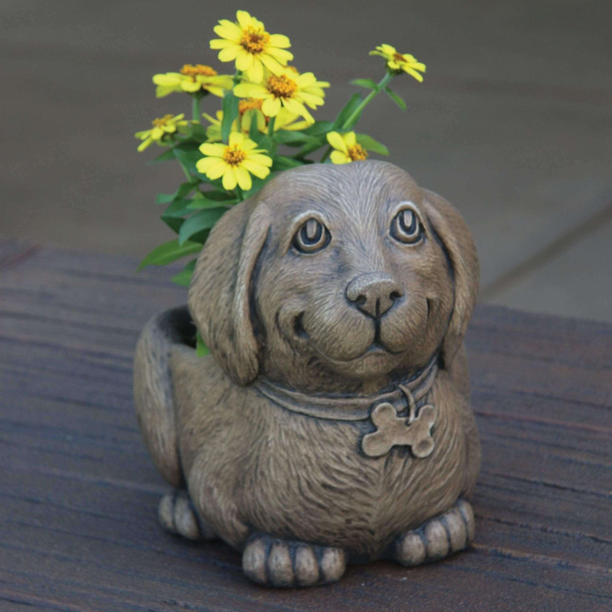 Waffles The Puppy Concrete Planter