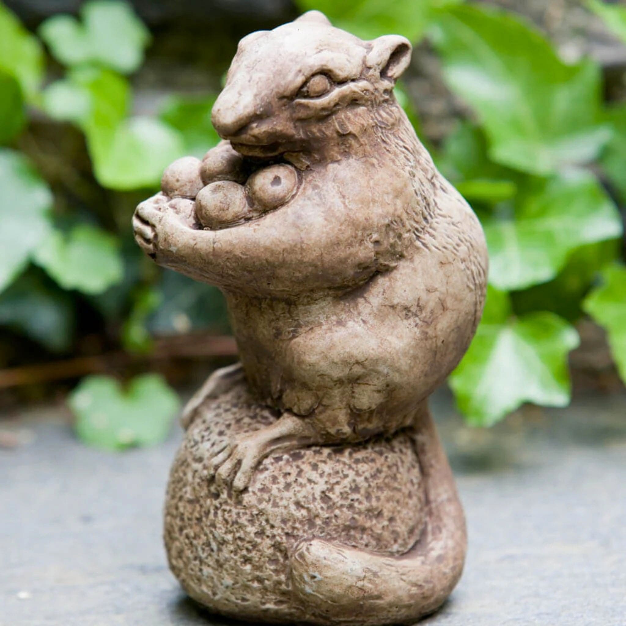 Autumn Chipmunk Concrete Garden Statue - Campania #A350