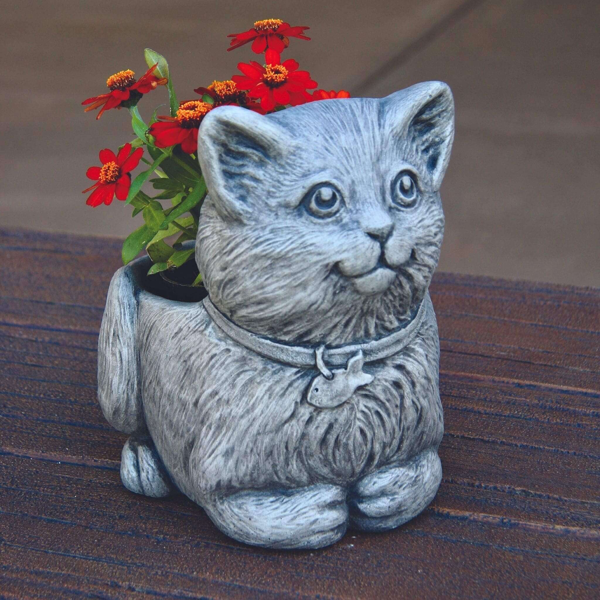 Mittens The Kitten Concrete Planter - Massarellis #6097