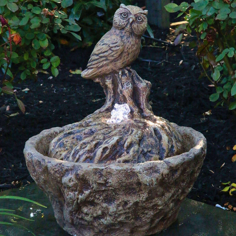 Owl Concrete Fountainette Parva w/Lights - Massarellis