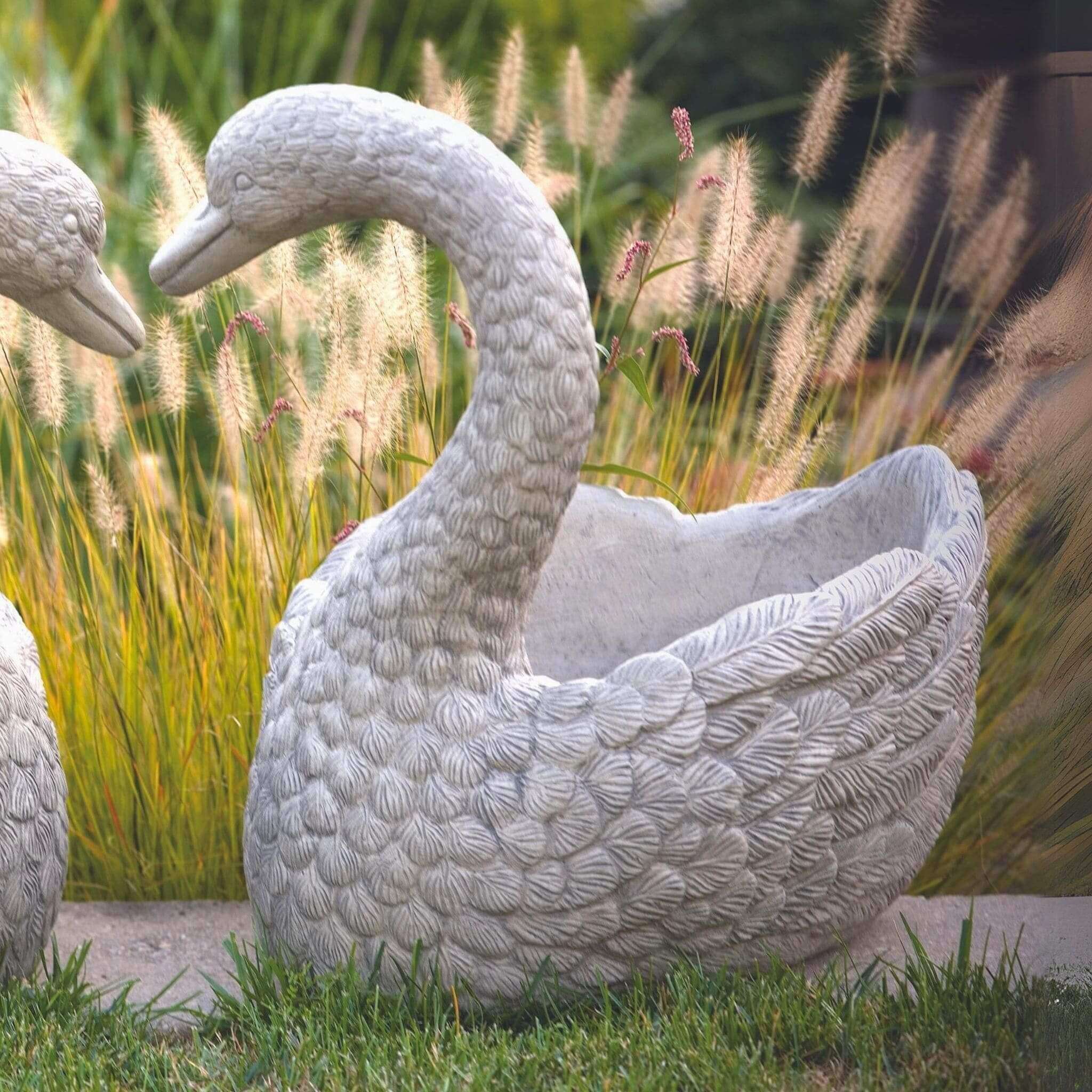 Heart Swan RIGHT Concrete Planter - Massarellis #6935