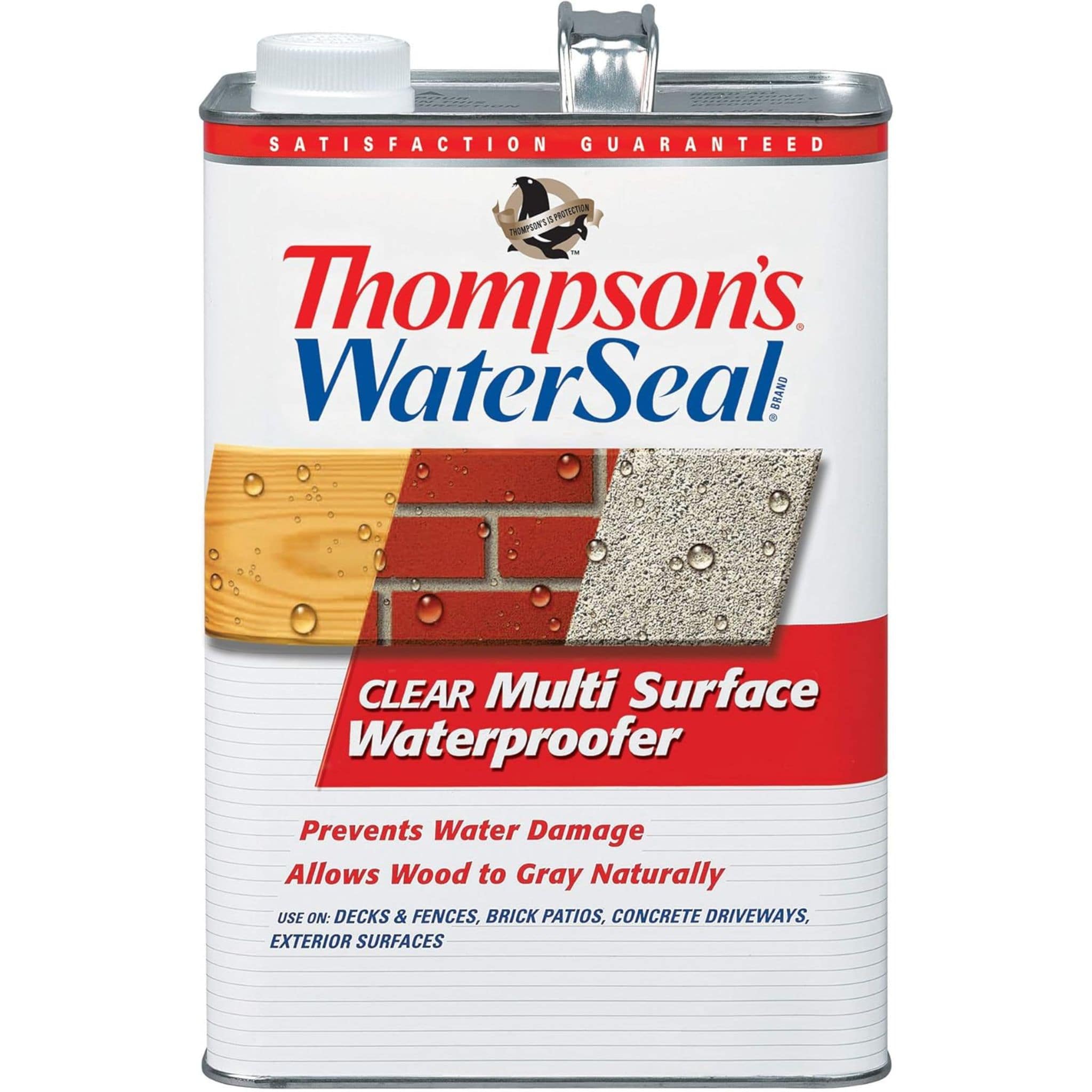 Corten Steel Water Sealer - 1 Gallon