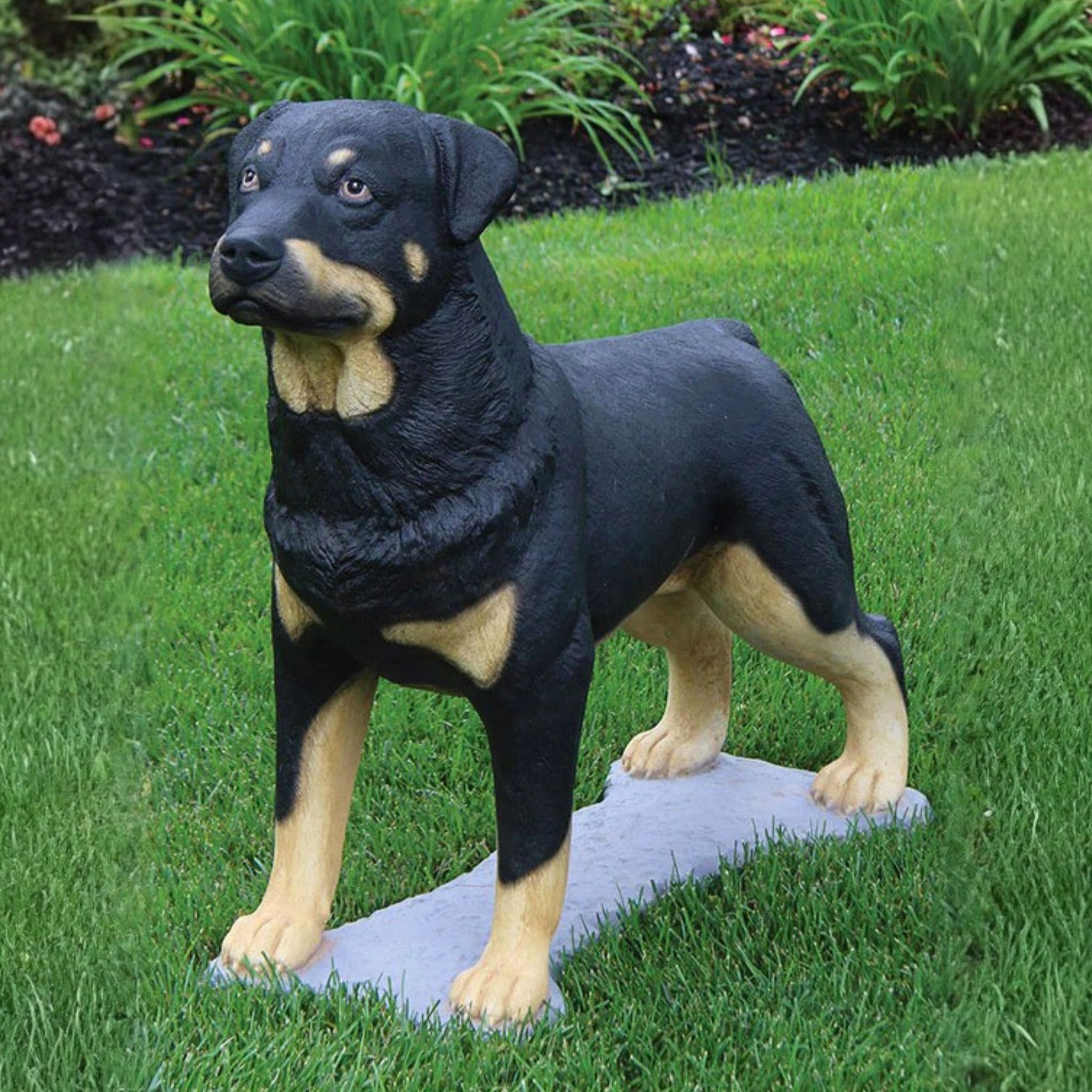 Rottweiler 30" Concrete Garden Statue - Massarellis #2136