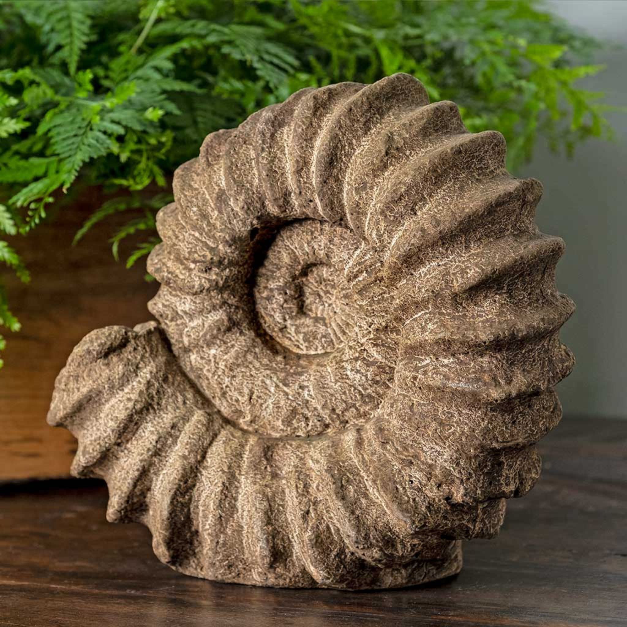 Sea Ammonite Concrete Garden Statue - Campania #S529