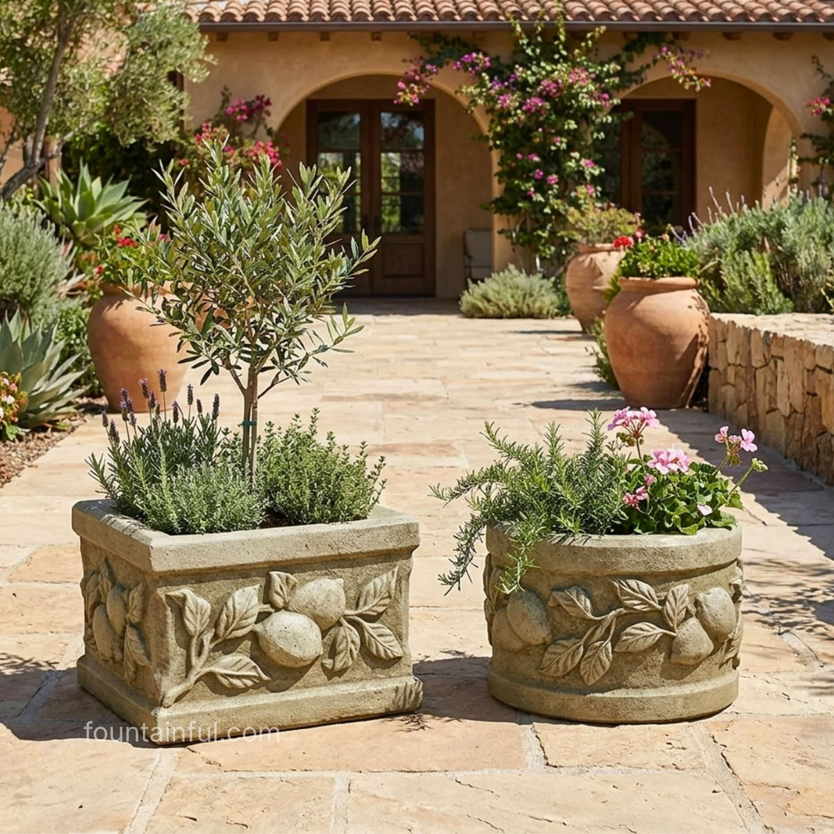 Limone Round & Square Concrete Planter - Massarellis - Mediterrean Garden Decor #6014 #6999