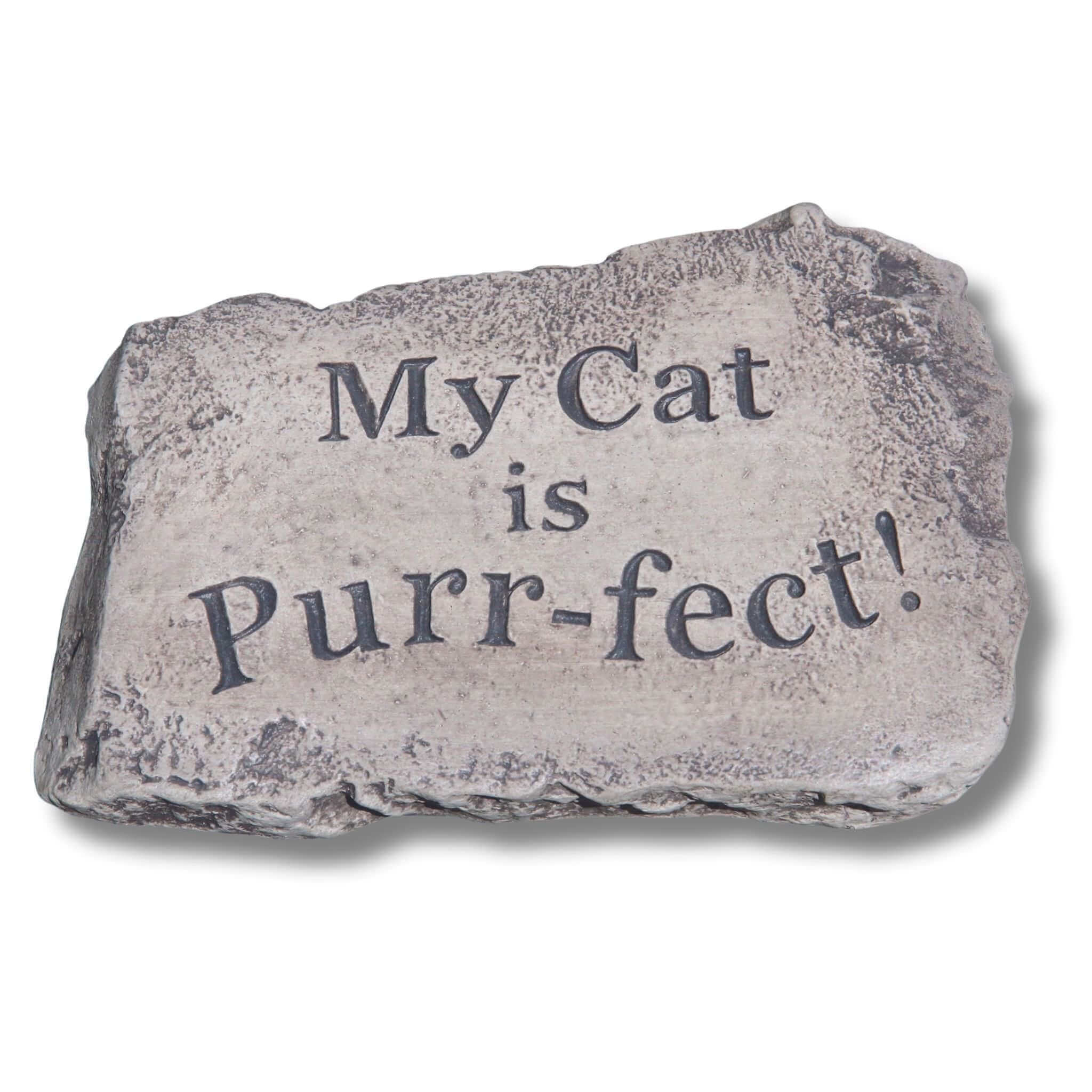 The Purrfect Cat Concrete Garden Greeting Stone - Massarellis #1840