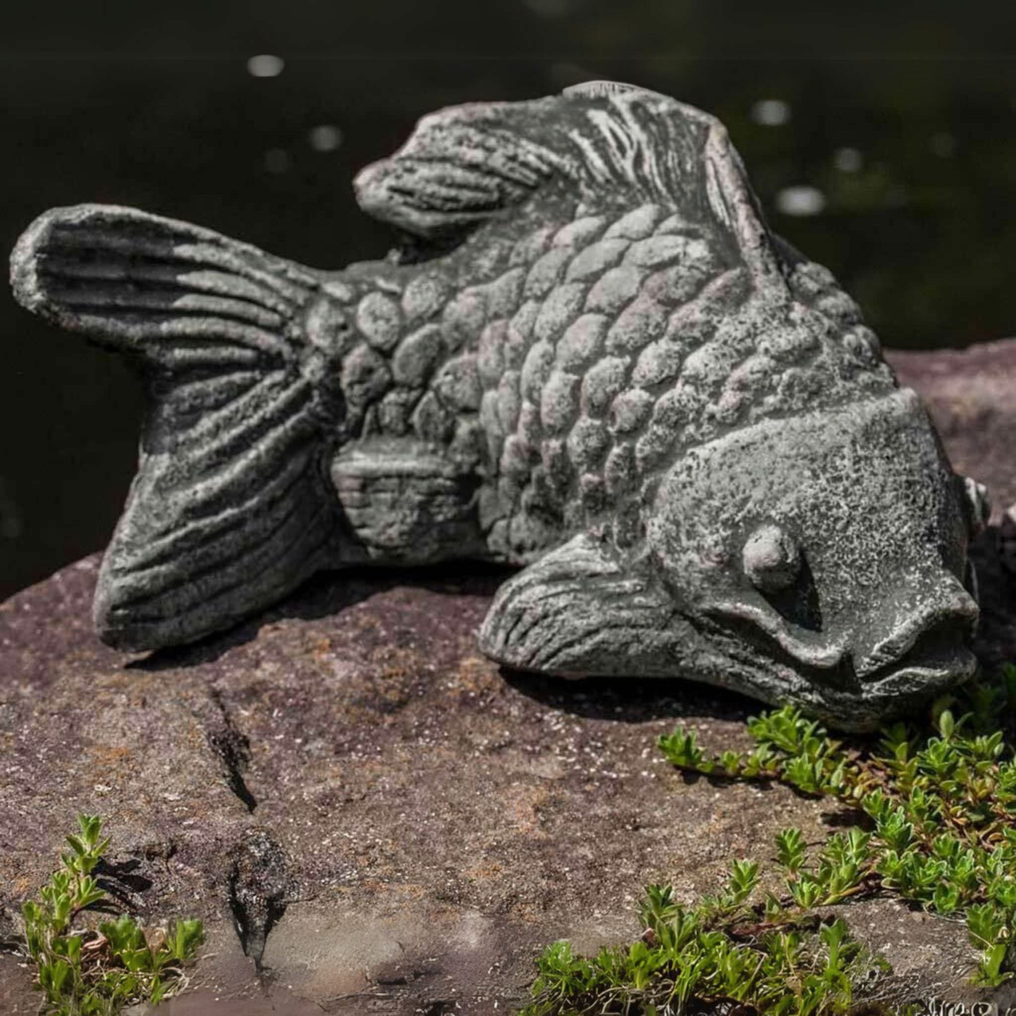 Coy Koi Concrete Fish Statue - Campania #A558