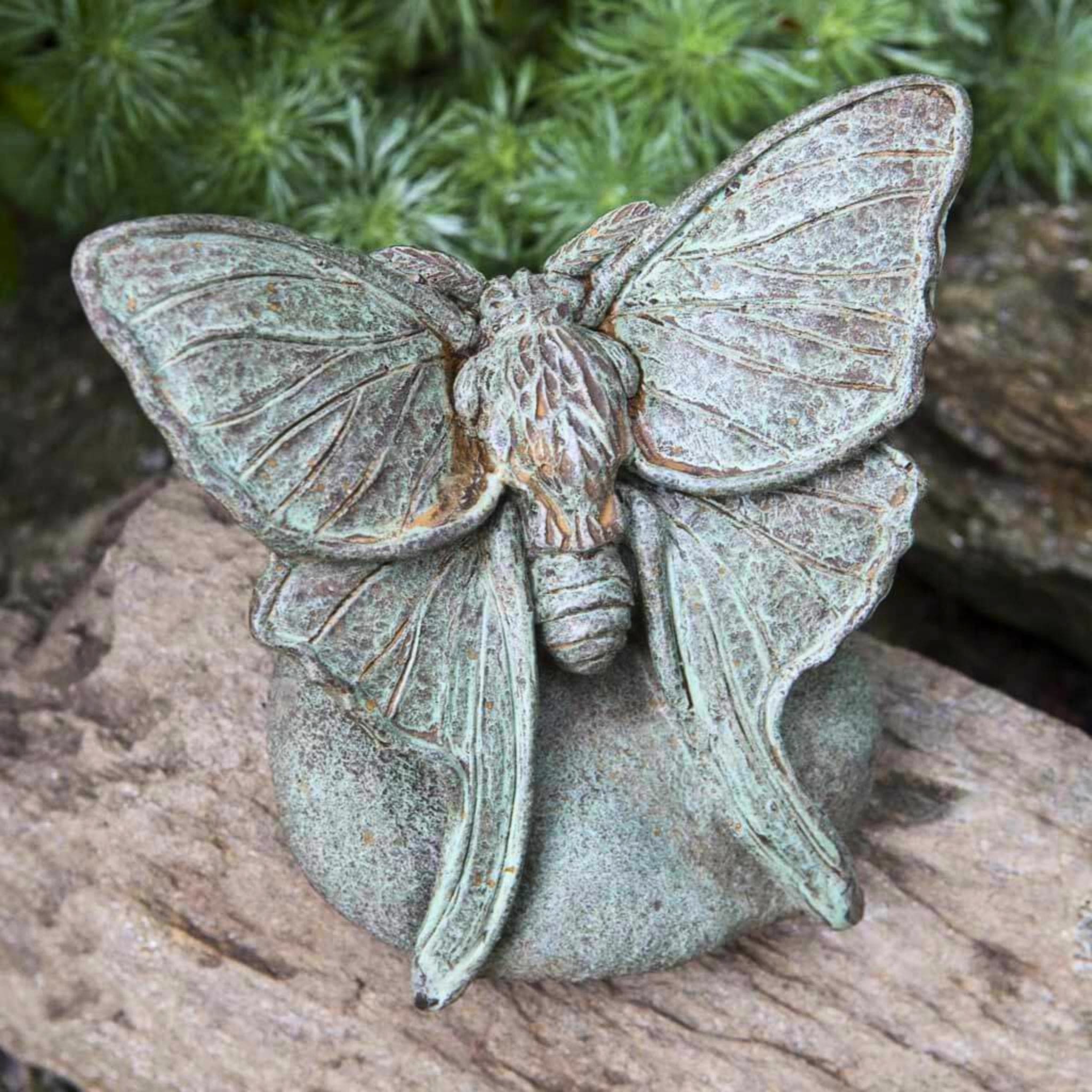 Lunar Moth Concrete Garden Statue - Campania #A395
